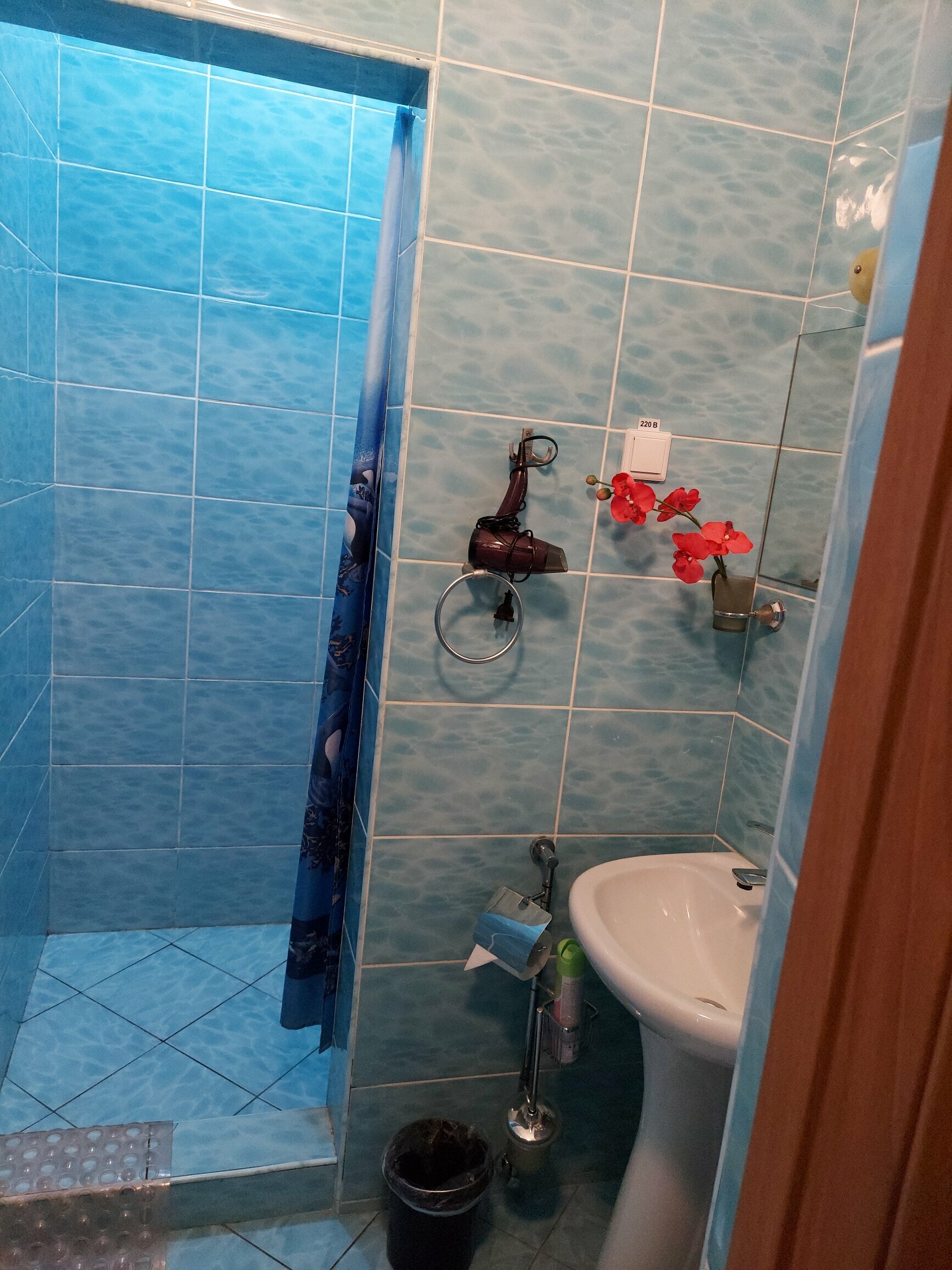 Двухместный номер с 1 кроватью и видом на сад