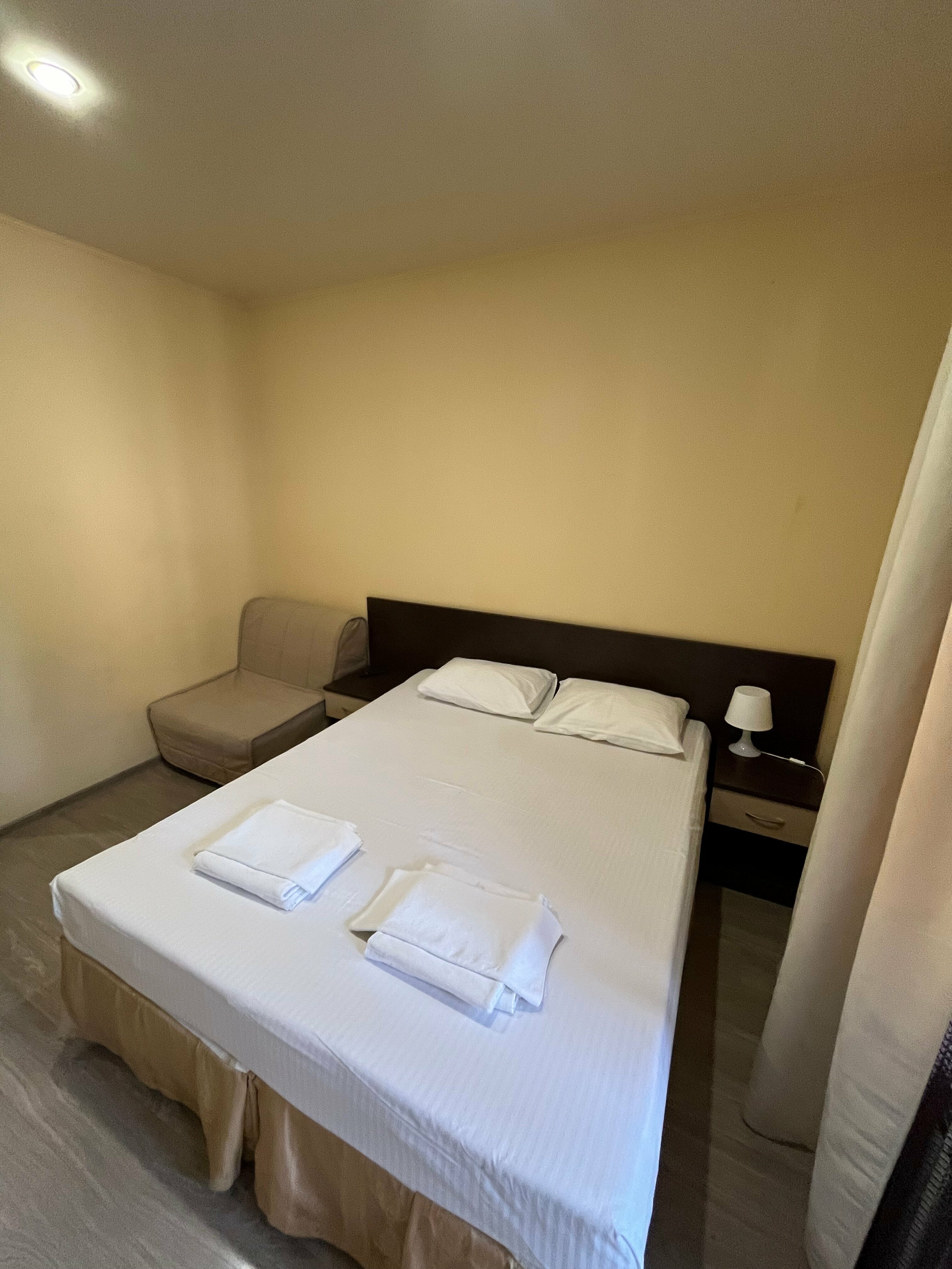 Двухместный номер с 1 кроватью и балконом