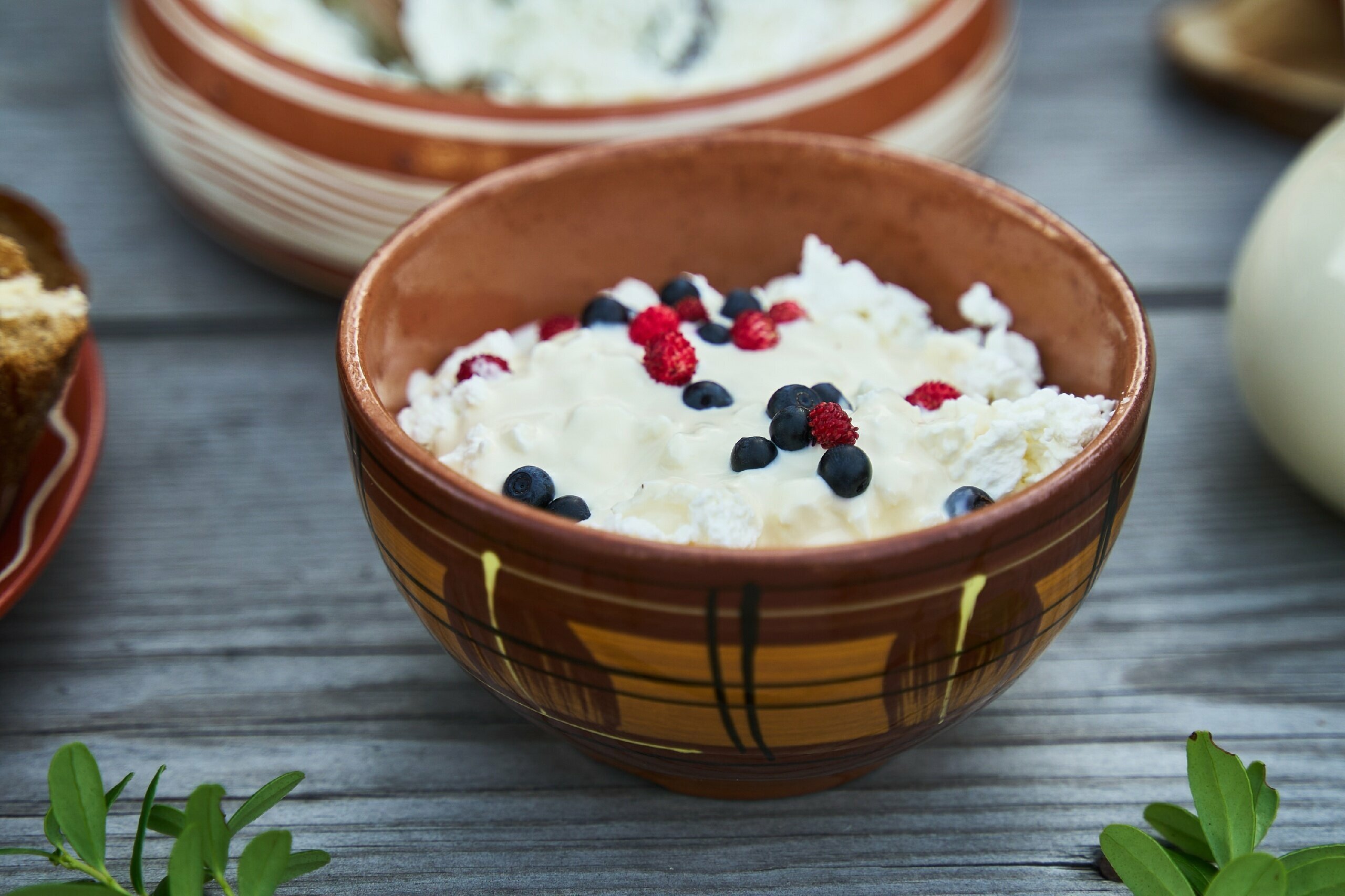 Дом с видом на лес