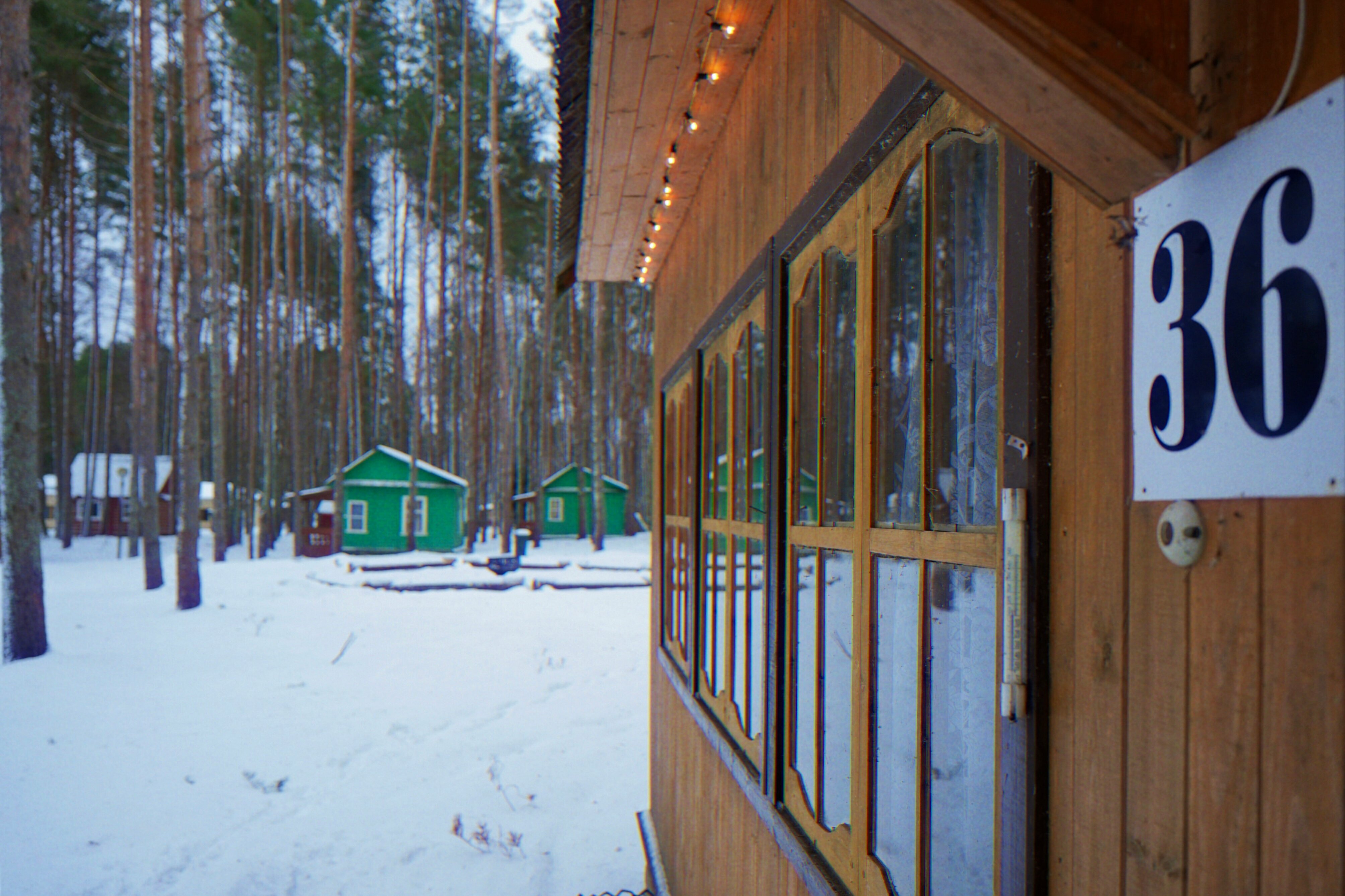 Уютное гнездышко