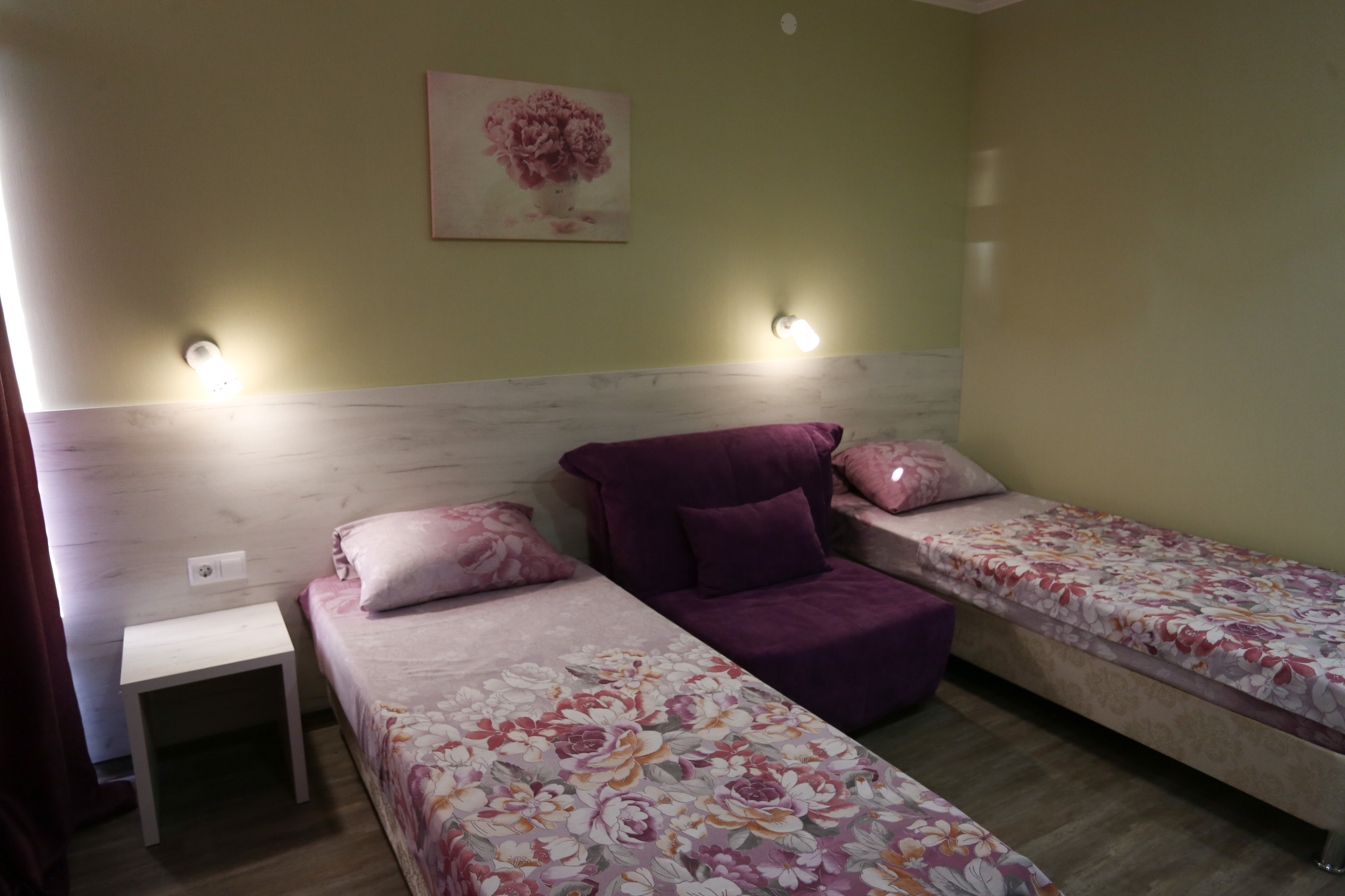 Двухместный номер с 1 кроватью или 2 отдельными кроватями