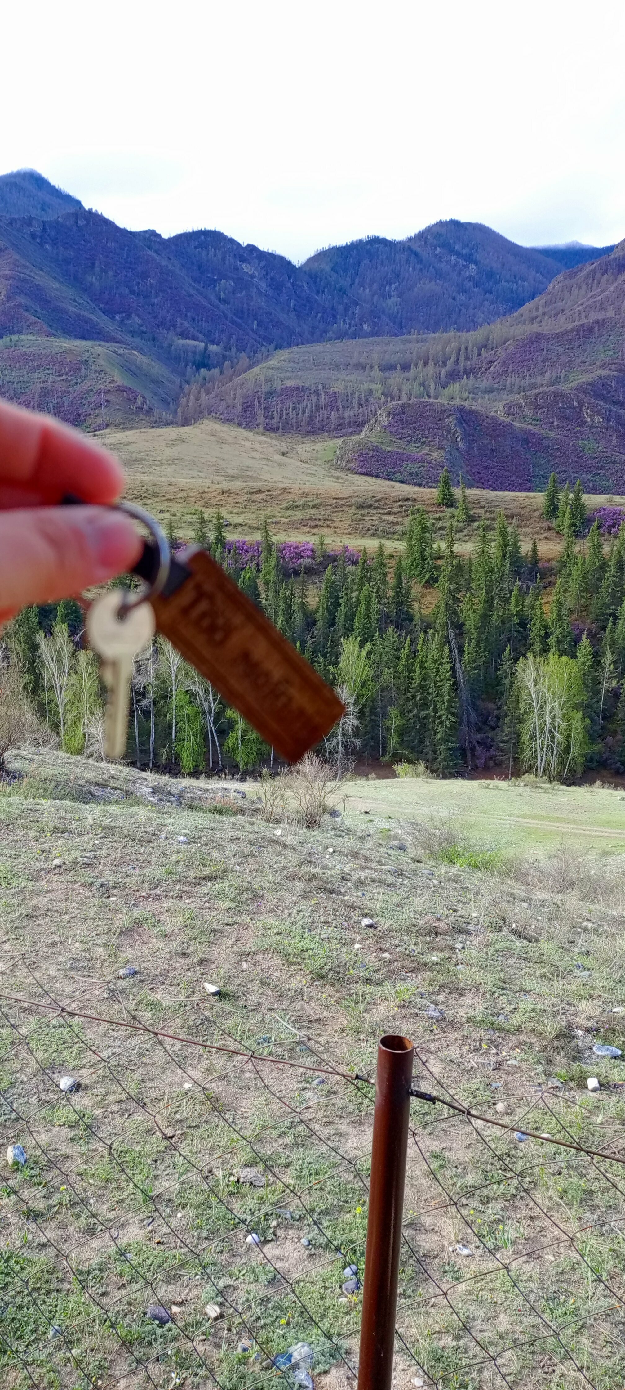 Двухместный номер Делюкс с 2 отдельными кроватями