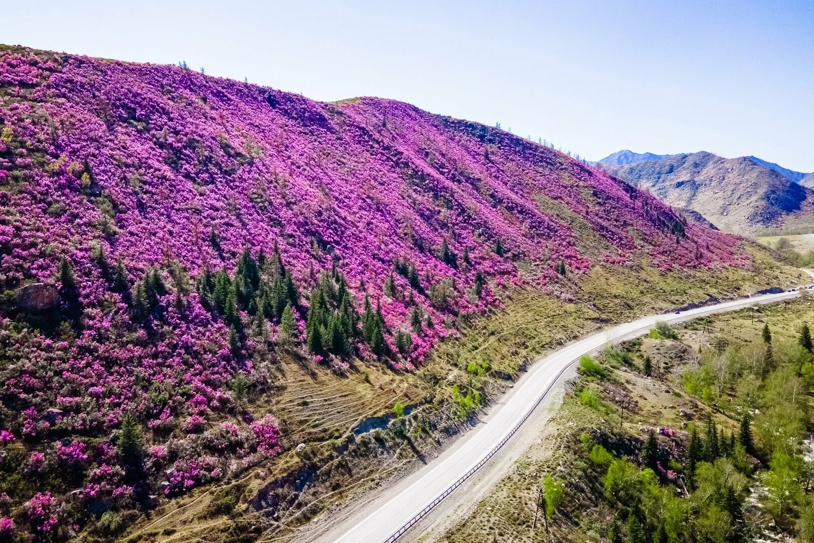 Небольшой двухместный номер с 2 отдельными кроватями
