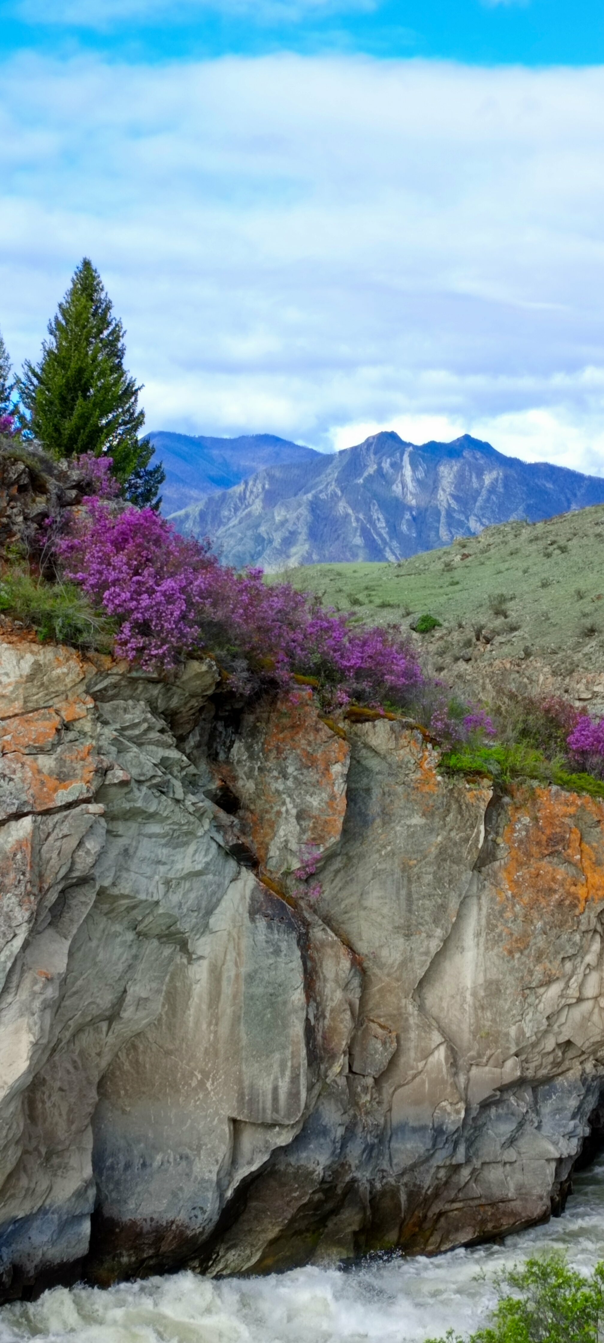 Двухместный номер с 1 кроватью и собственной ванной комнатой