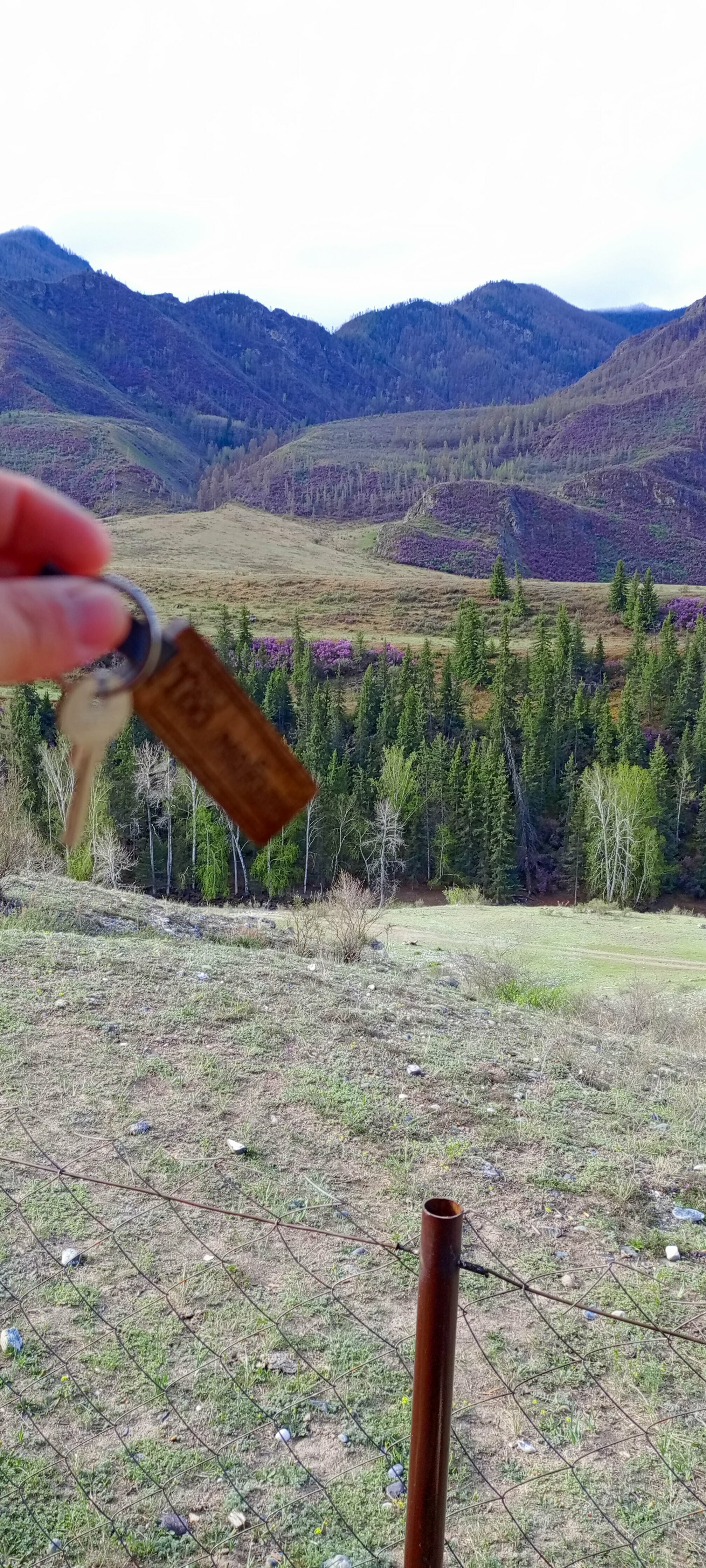 Двухместный номер с 2 отдельными кроватями и ванной