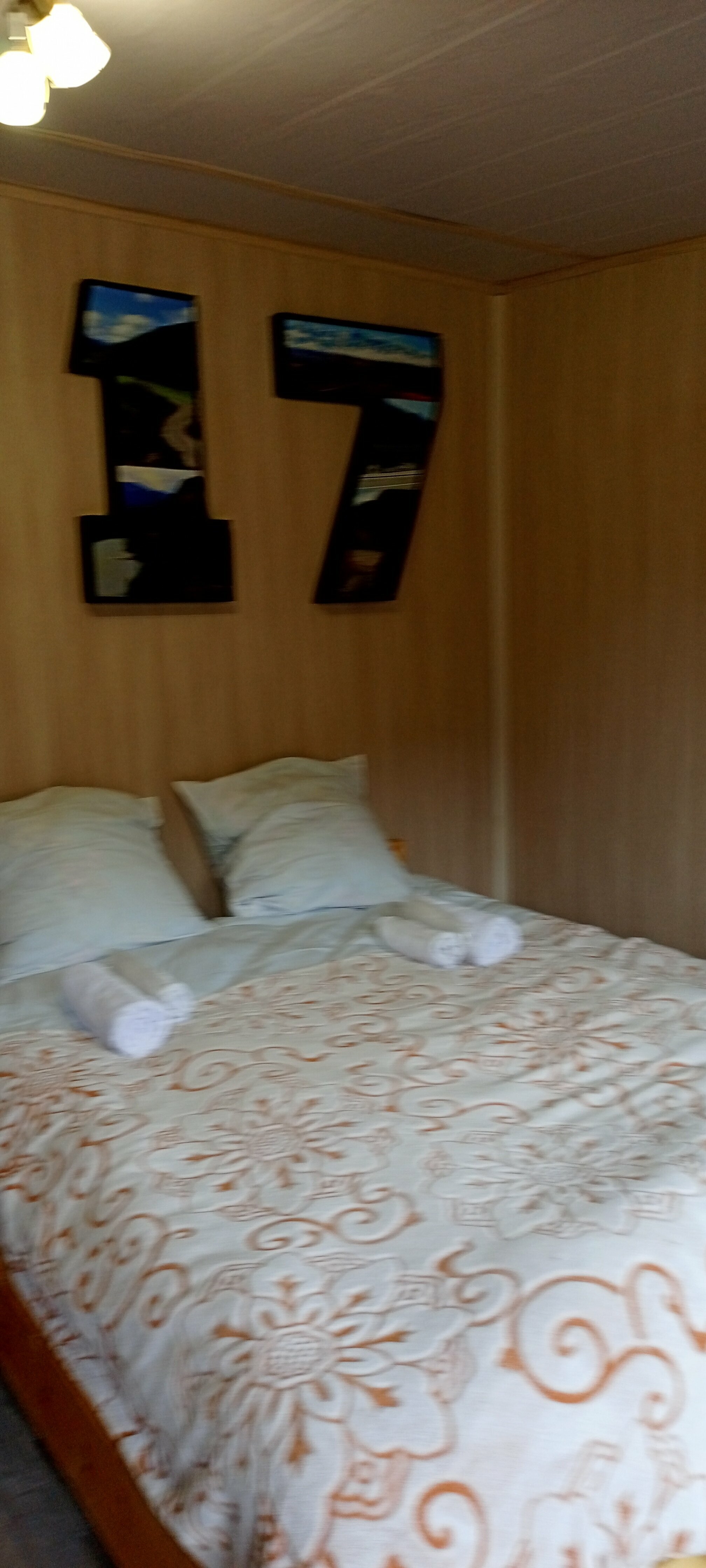 Двухместный номер с 1 кроватью и видом на парк