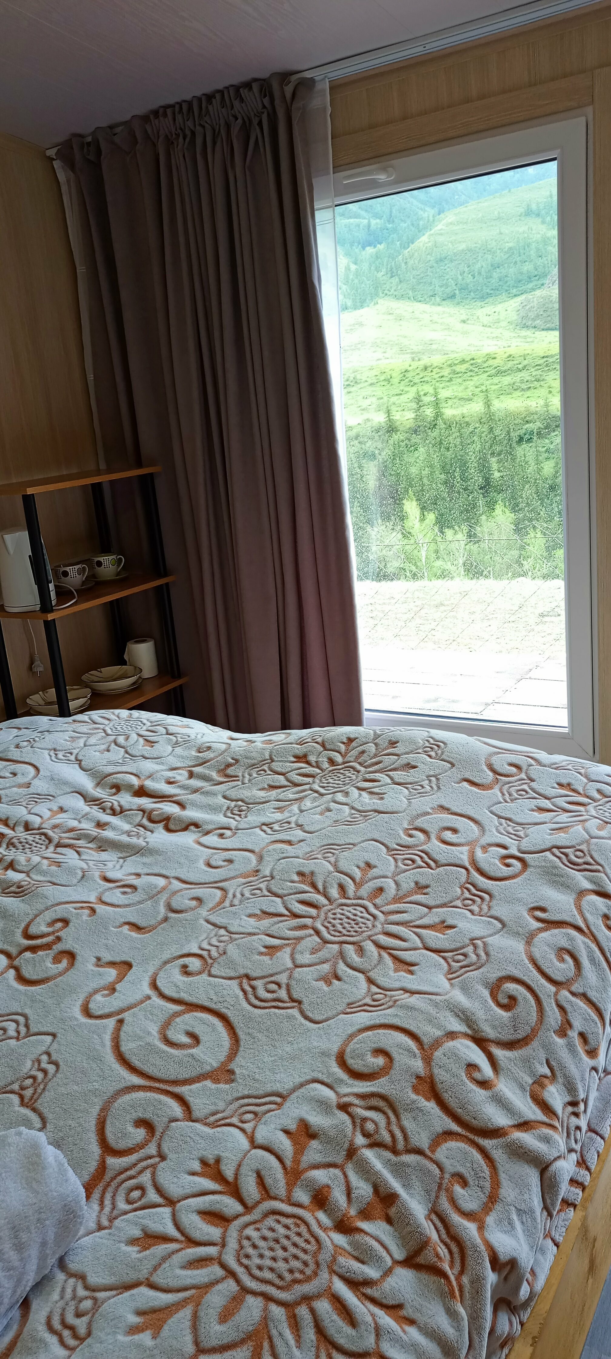 Двухместный номер с 1 кроватью и видом на парк