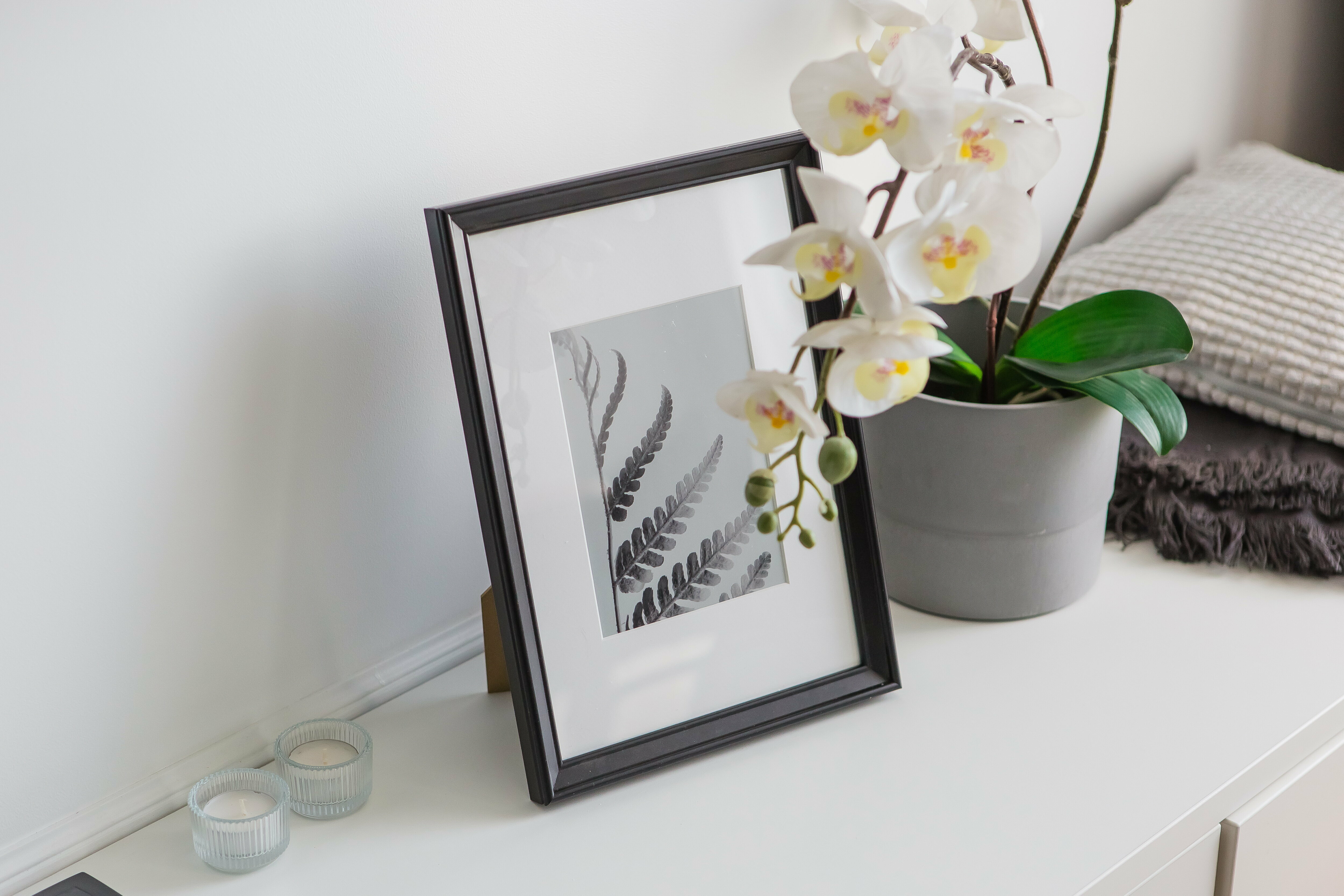 Loft 404 c видом на Ботанический сад