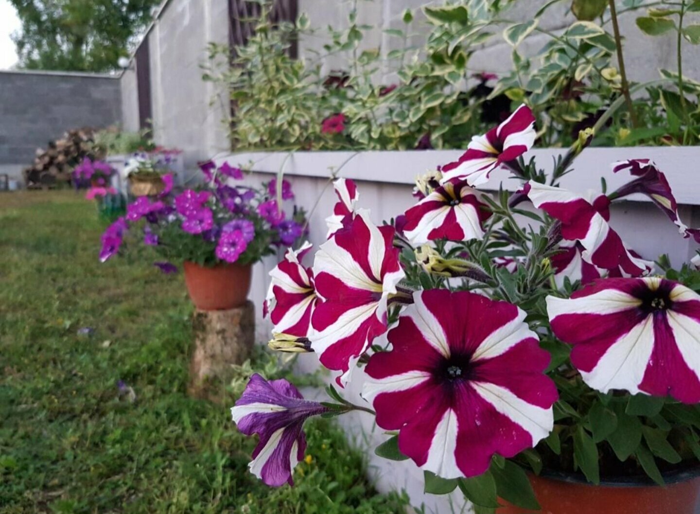 Дом для отпуска