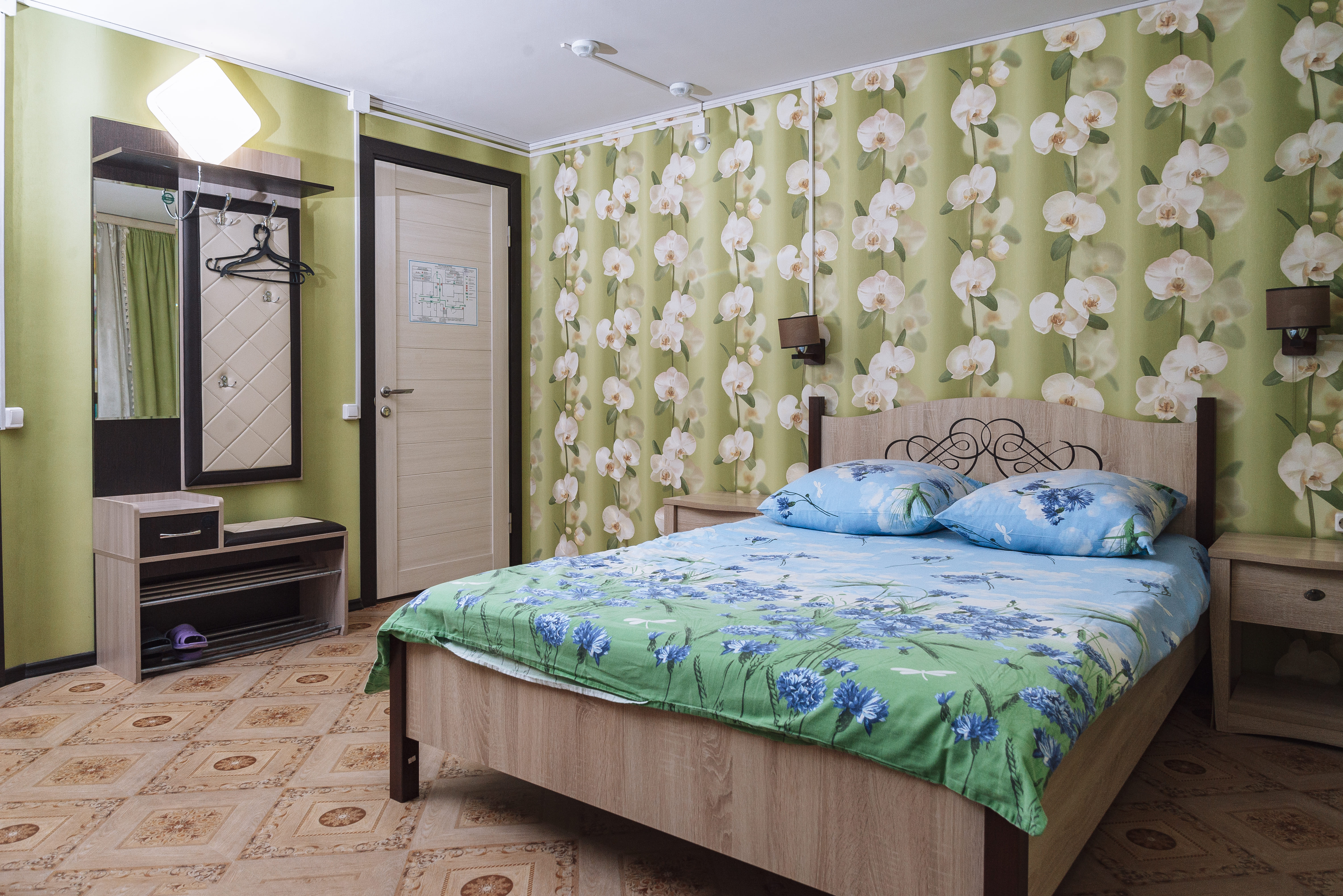 Двухместный номер Делюкс с 1 кроватью