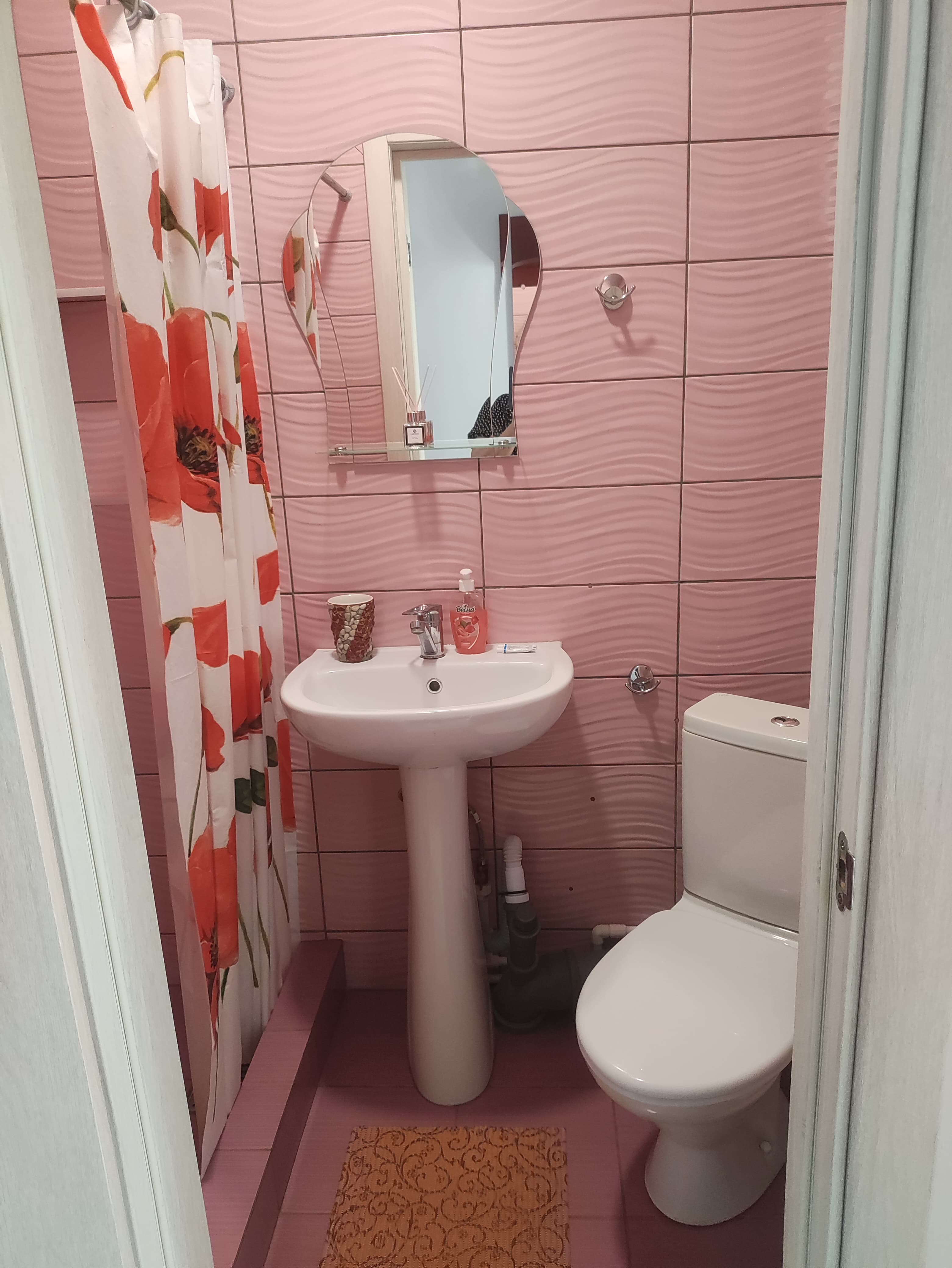 Двухместный номер с 1 кроватью и своим санузлом