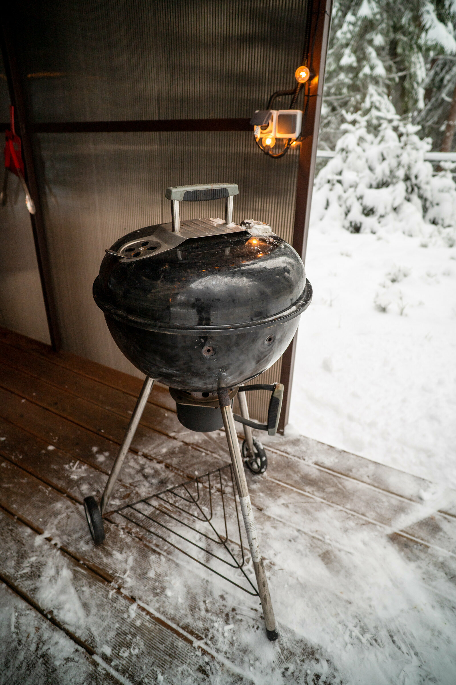 Коттедж с видом на лес