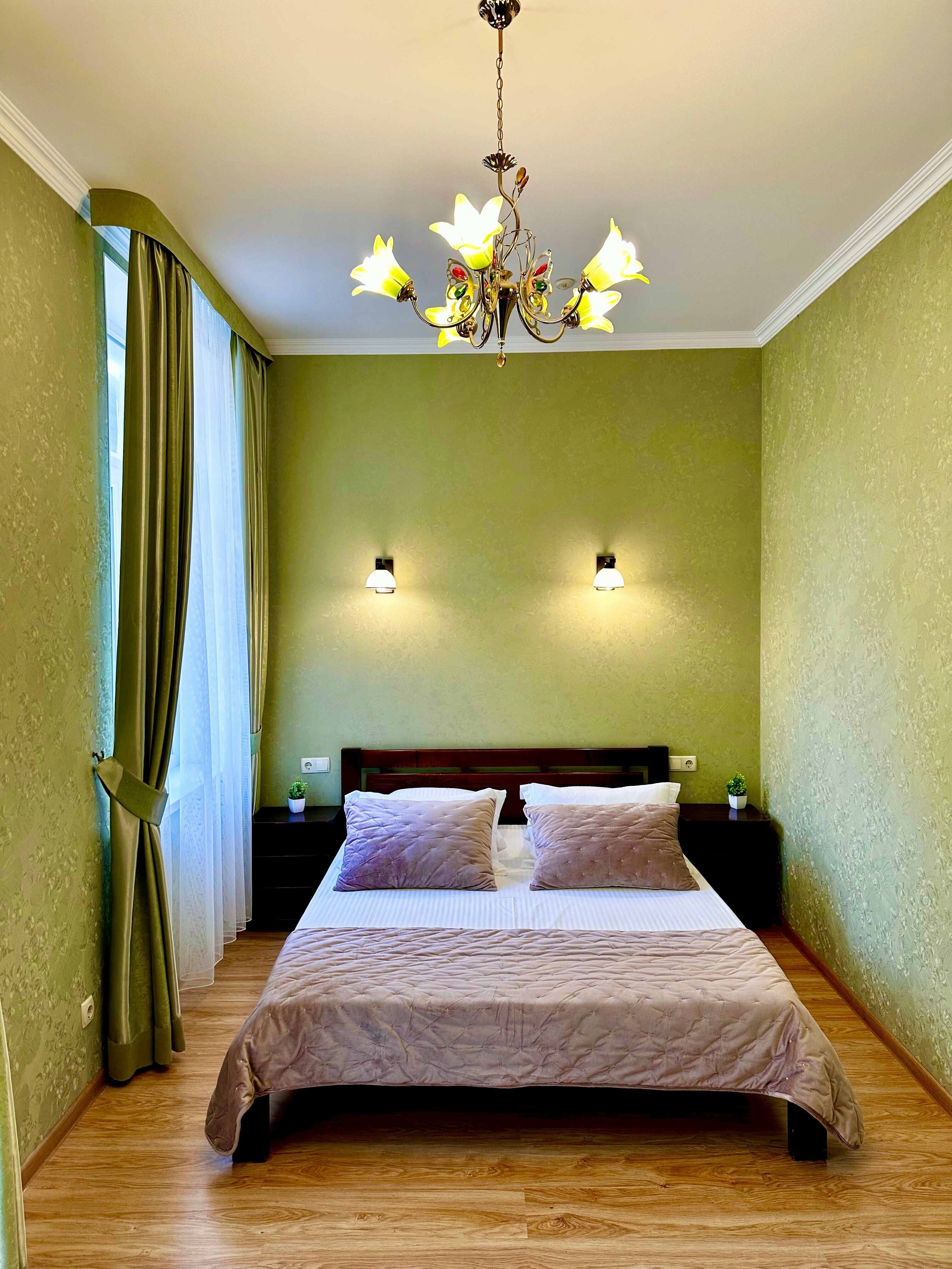 Двухместный номер с 1 кроватью и видом на парк