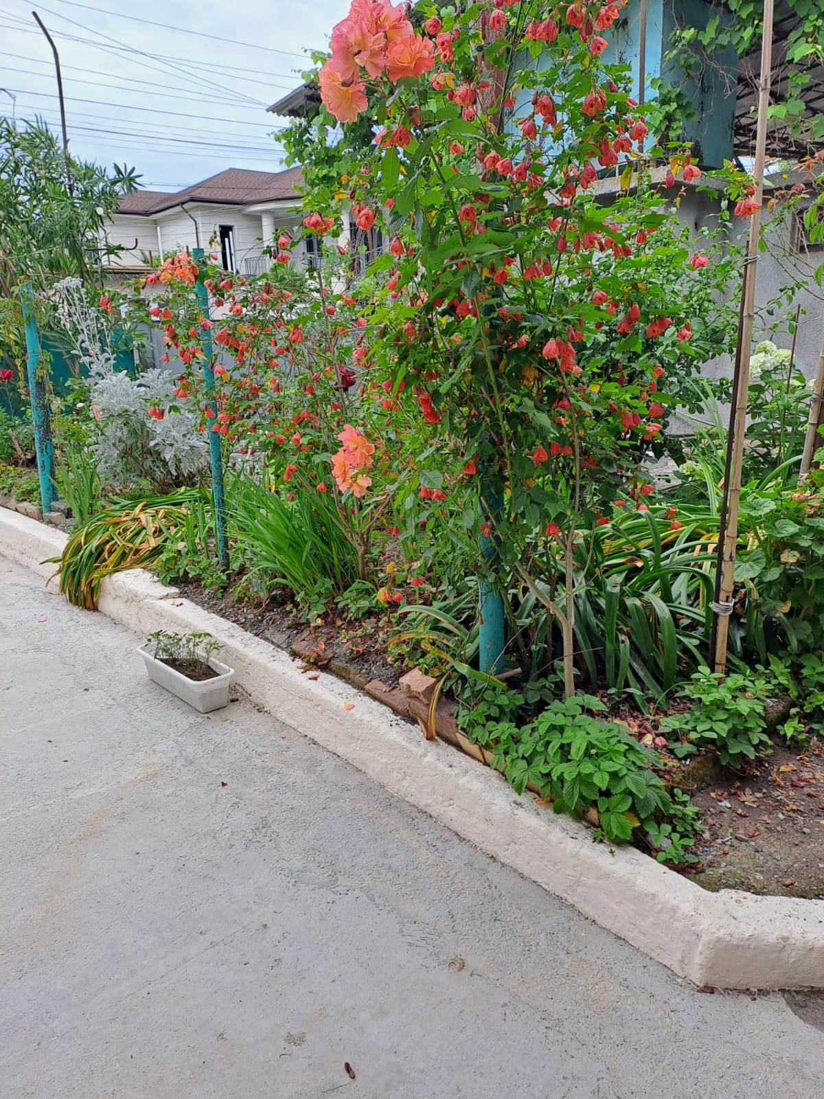 Бюджетный двухместный номер с 2 отдельными кроватями