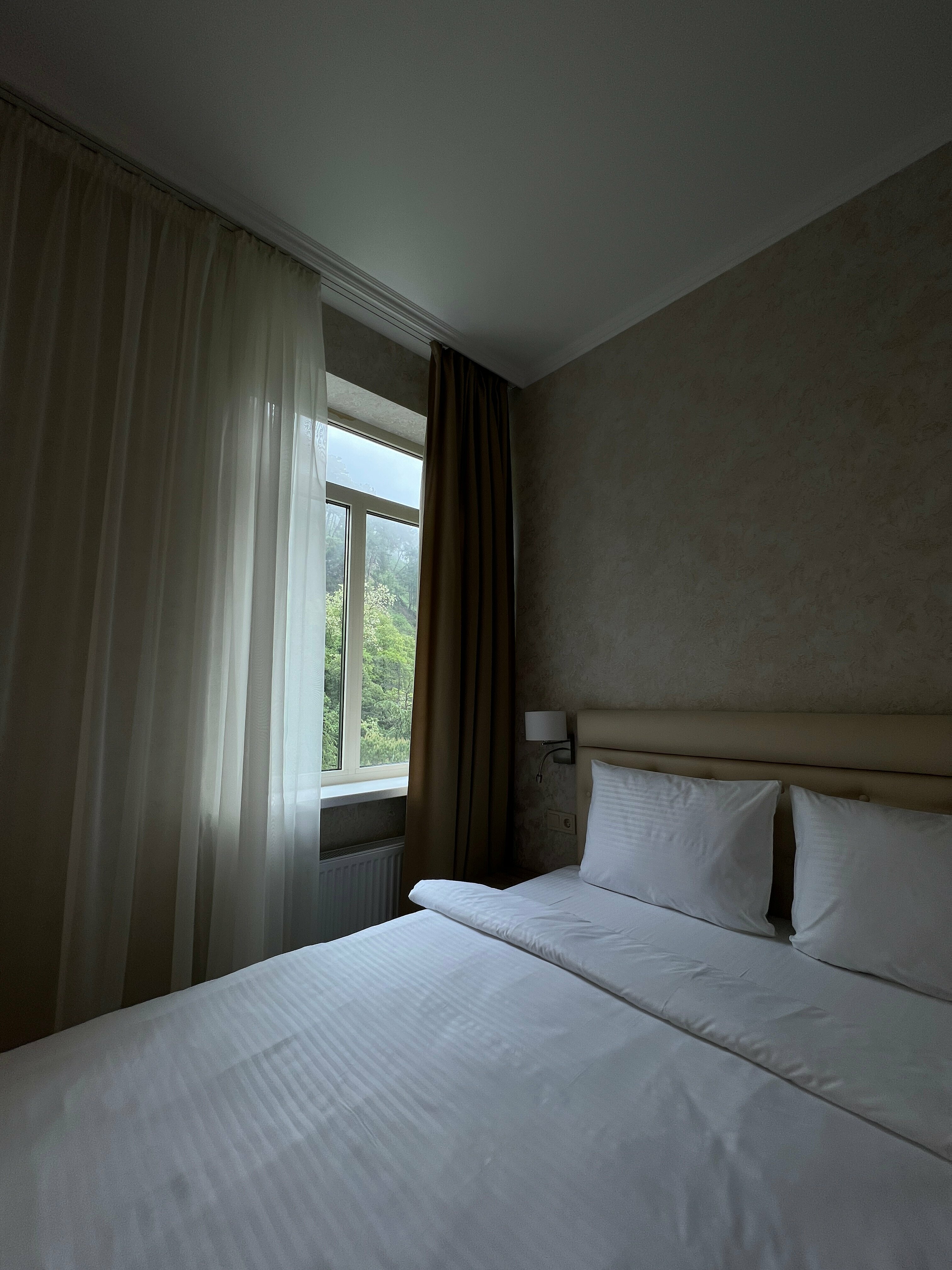 Стандарт без балкона вид на парк