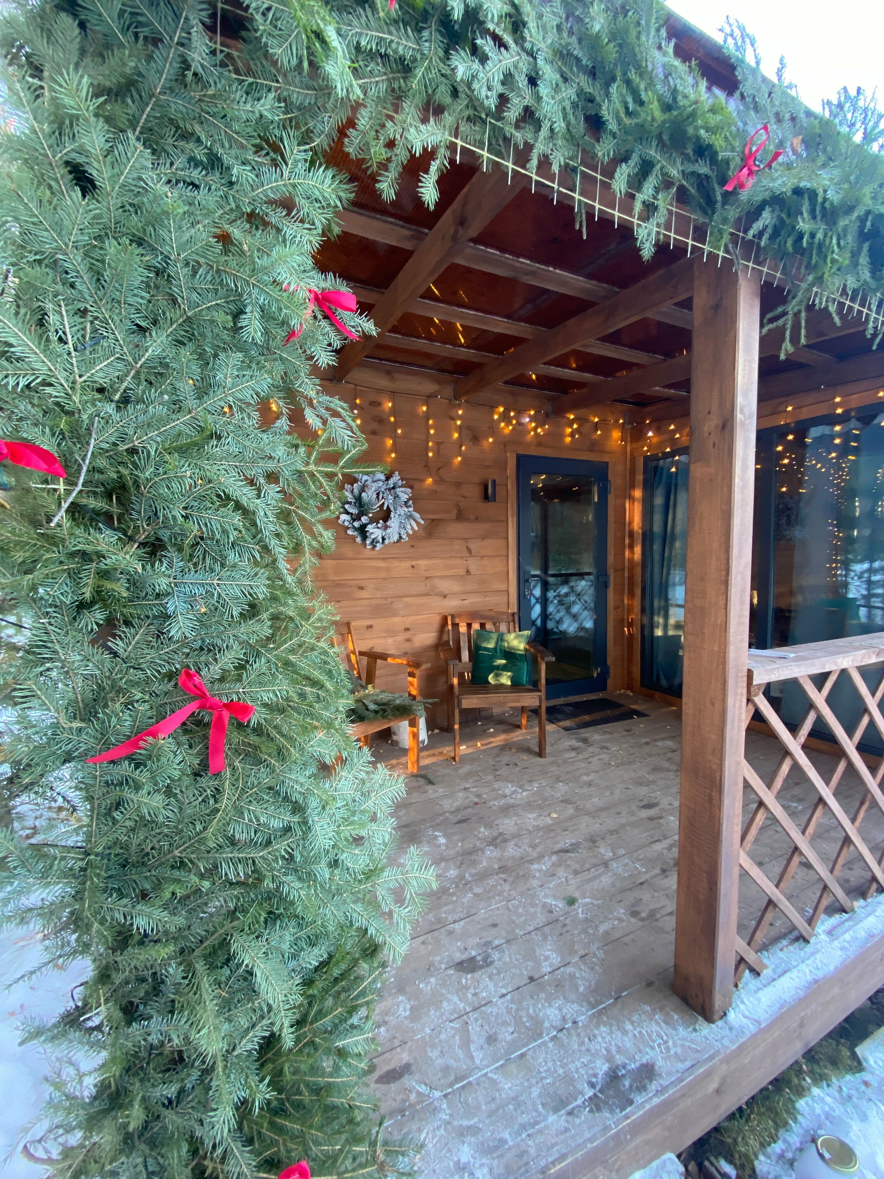 Дом с видом на лес