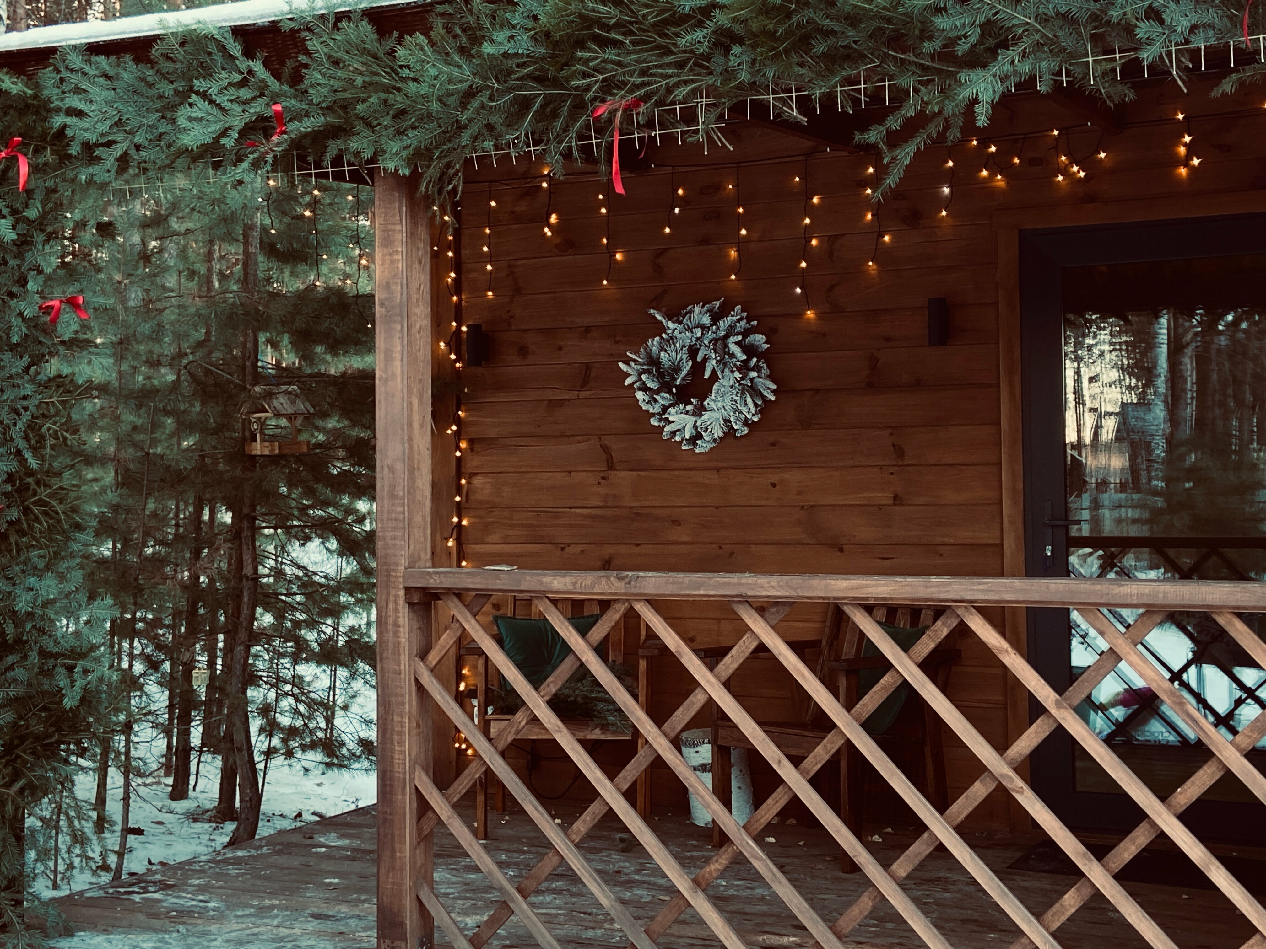 Дом с видом на лес