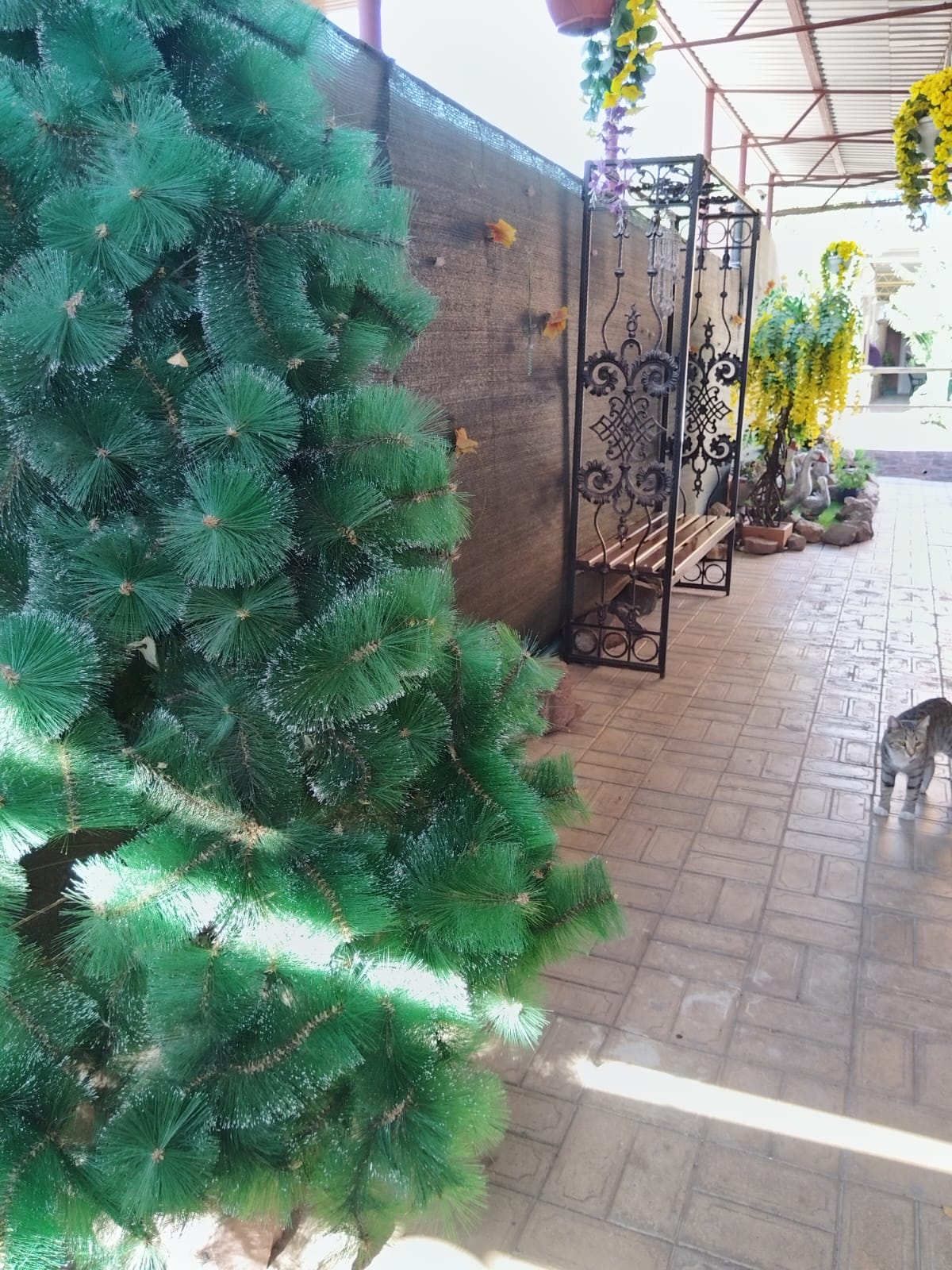 Четырехместный номер «Премиум»