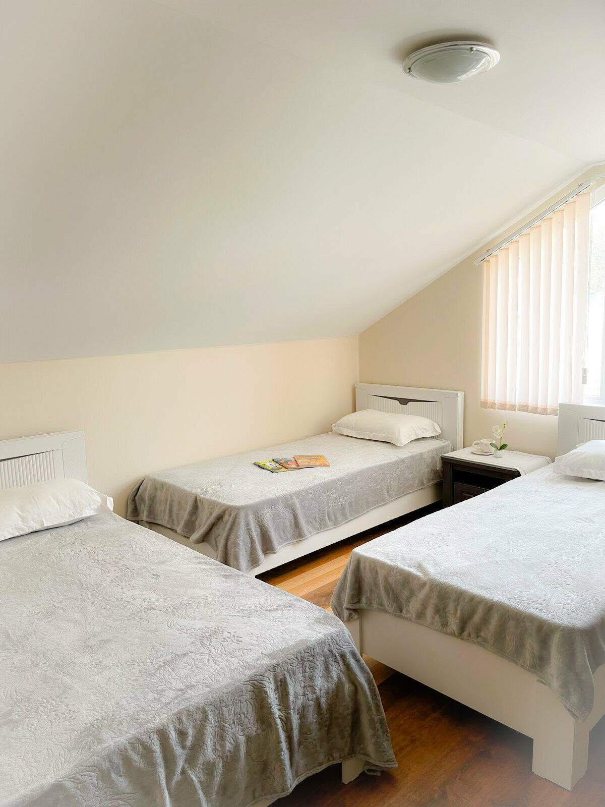 Стандартный двухместный номер с 2 отдельными кроватями, вид на сад