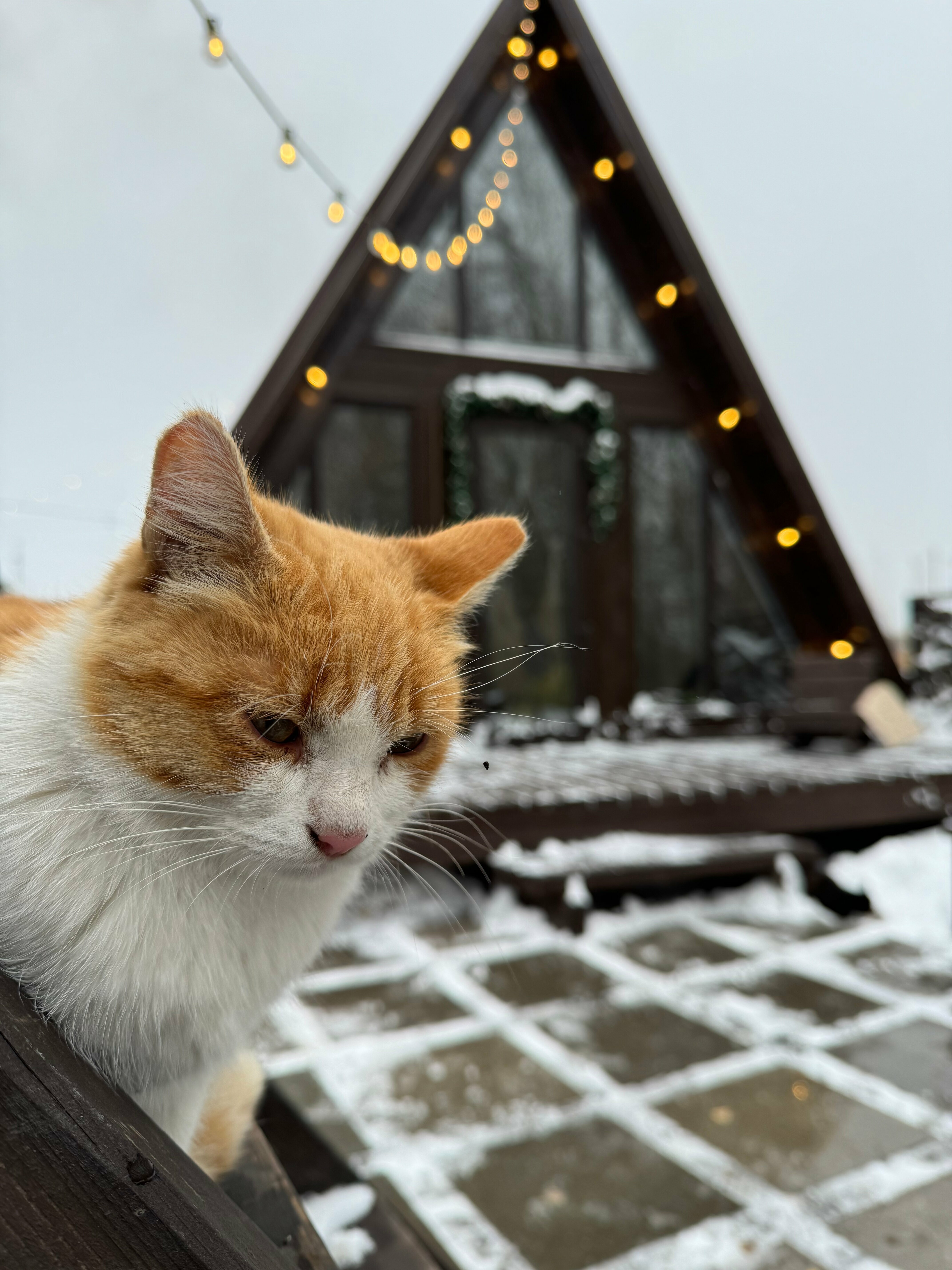 Двухуровневый четырехместный номер