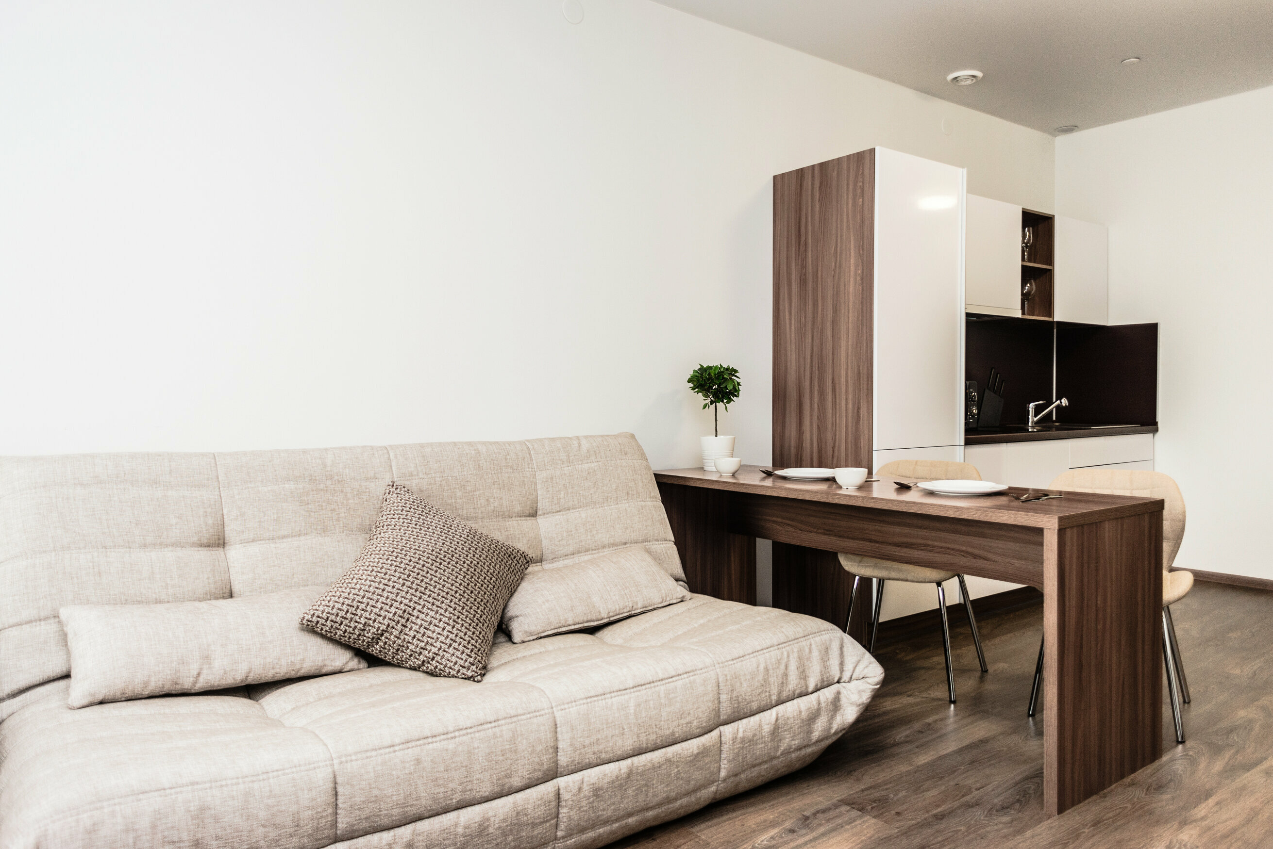 8. Классический апартамент для 4 гостей (21)