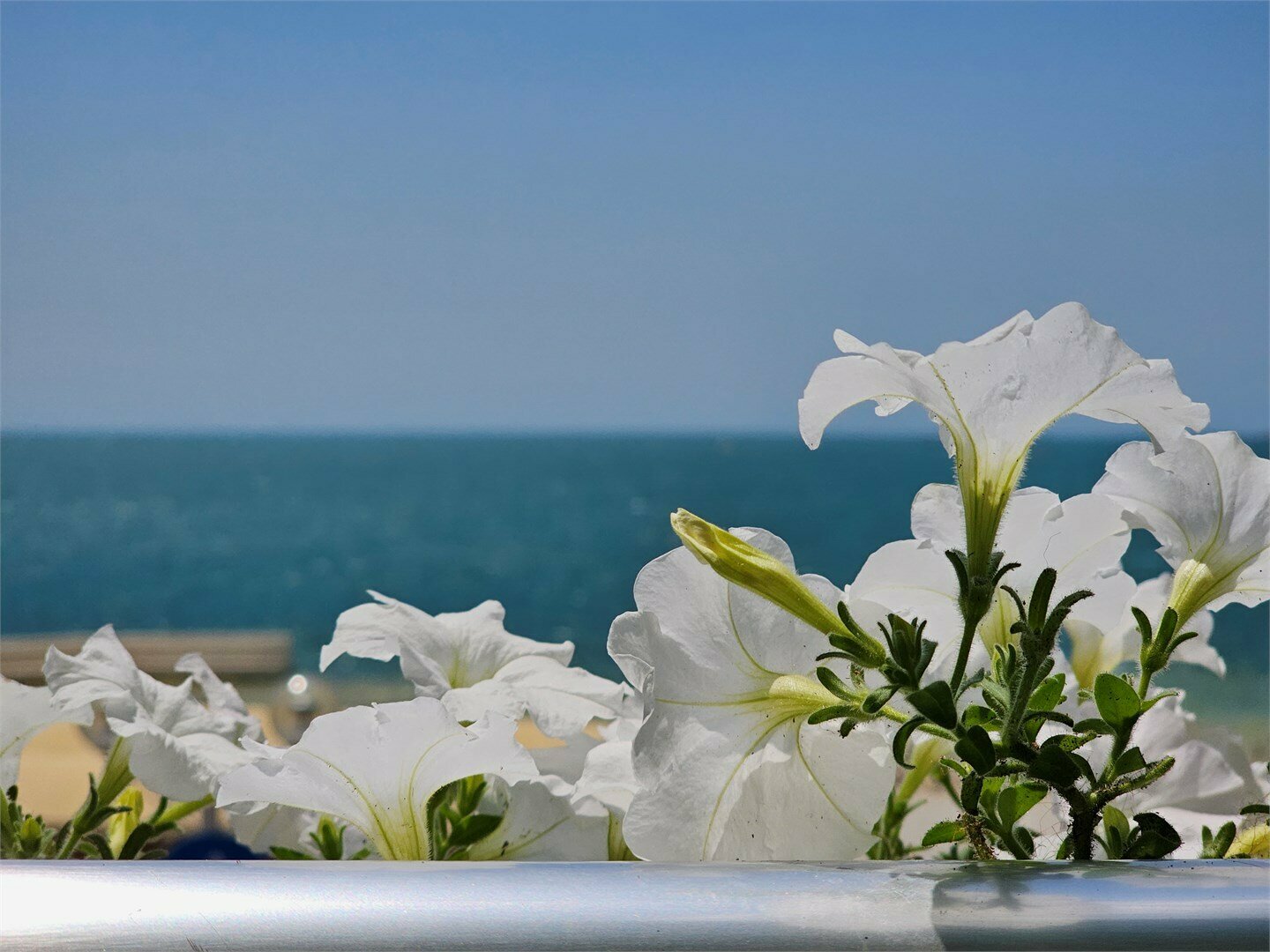 Джуниор Сюит с видом на море и балконом