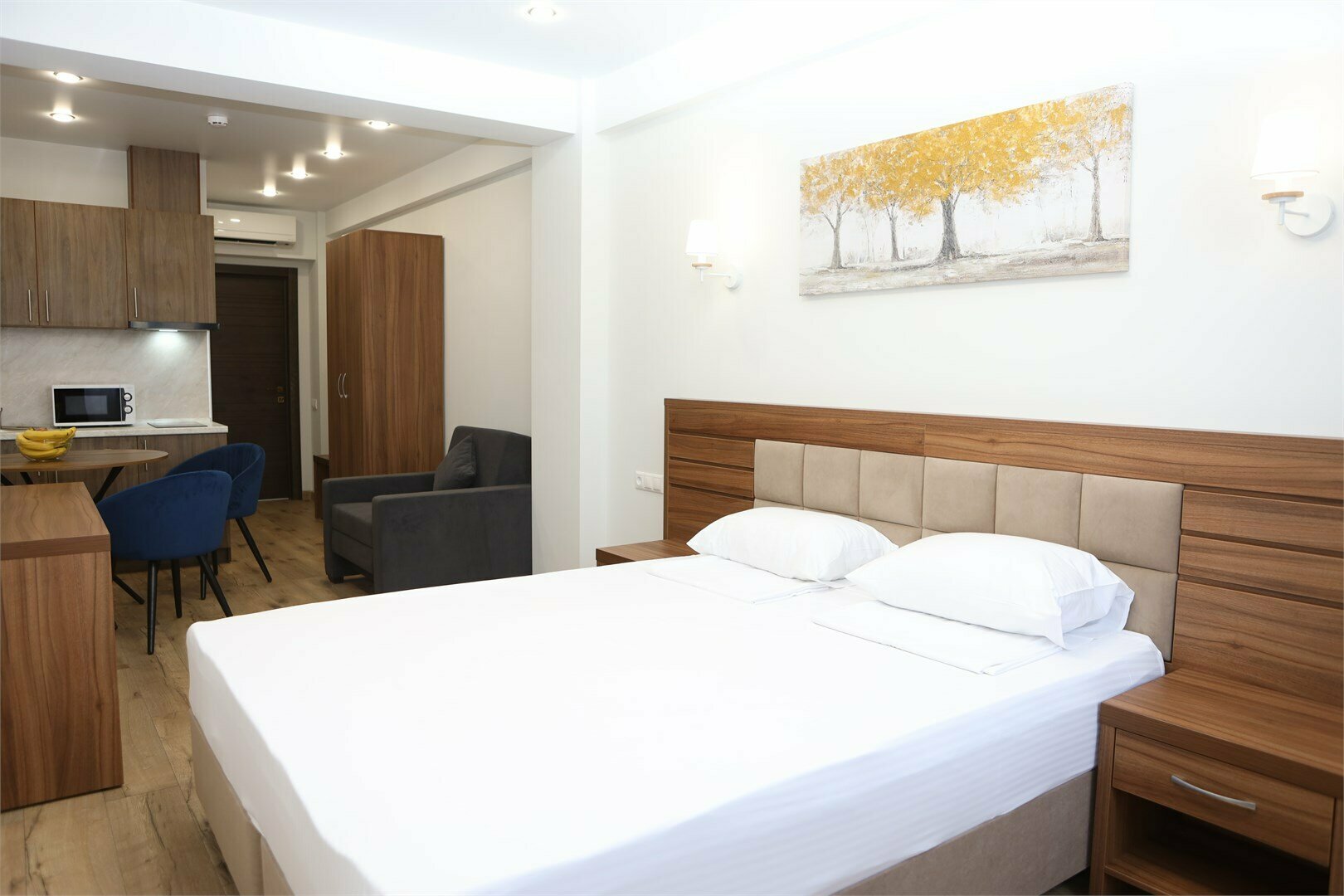 Премиум Studio с кухней