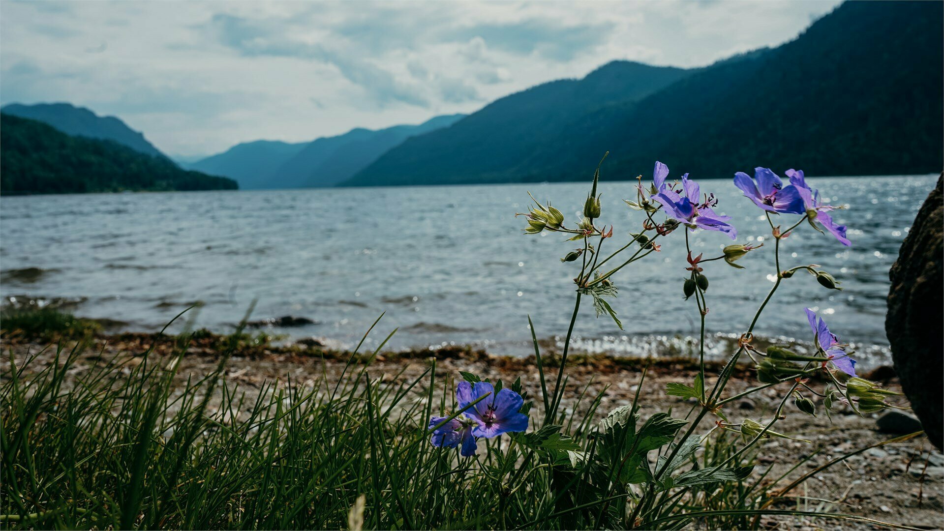 2-местный 2-комнатный стандарт первой категории Главный корпус 2 балкона