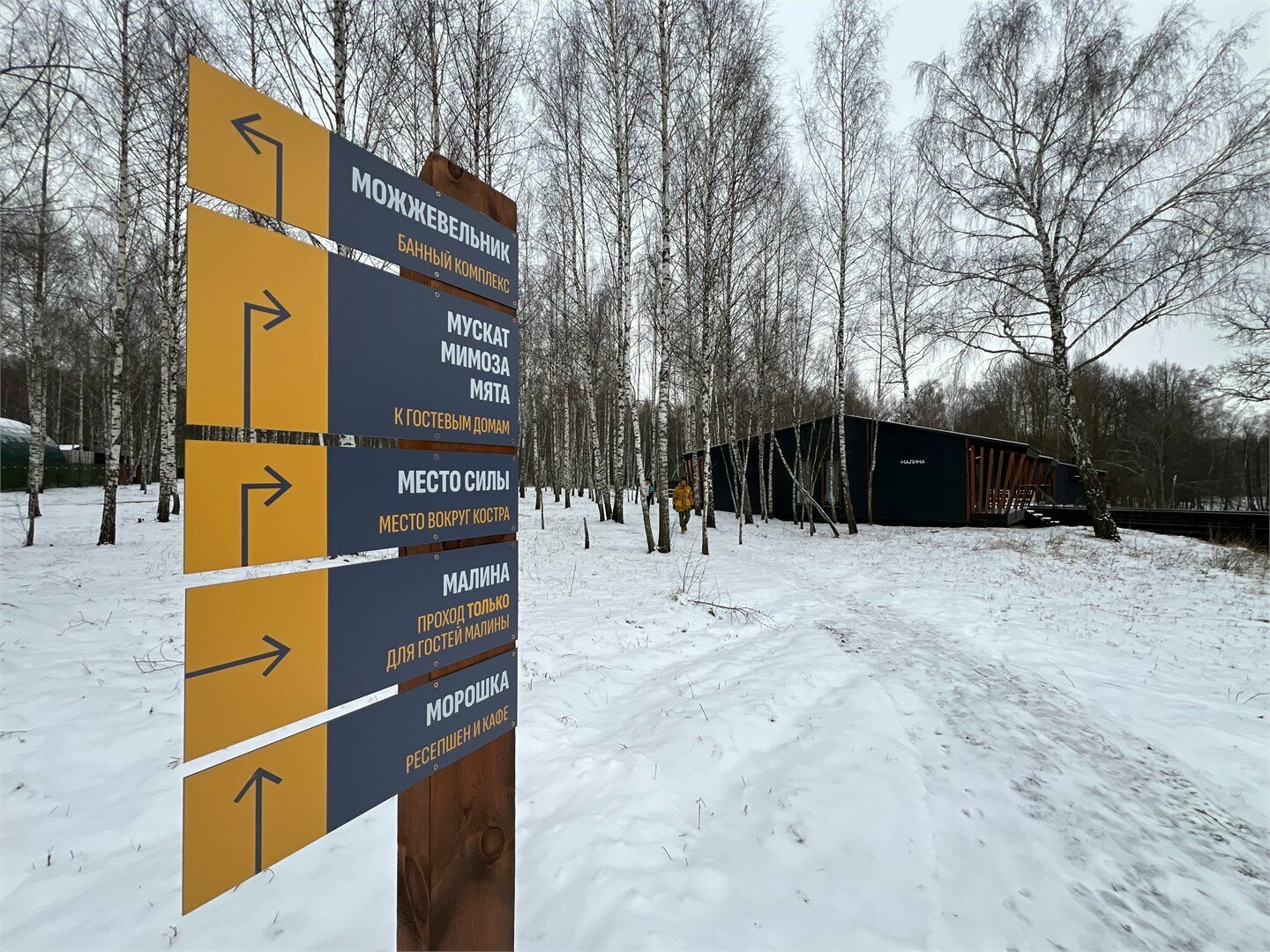 Малина Восток