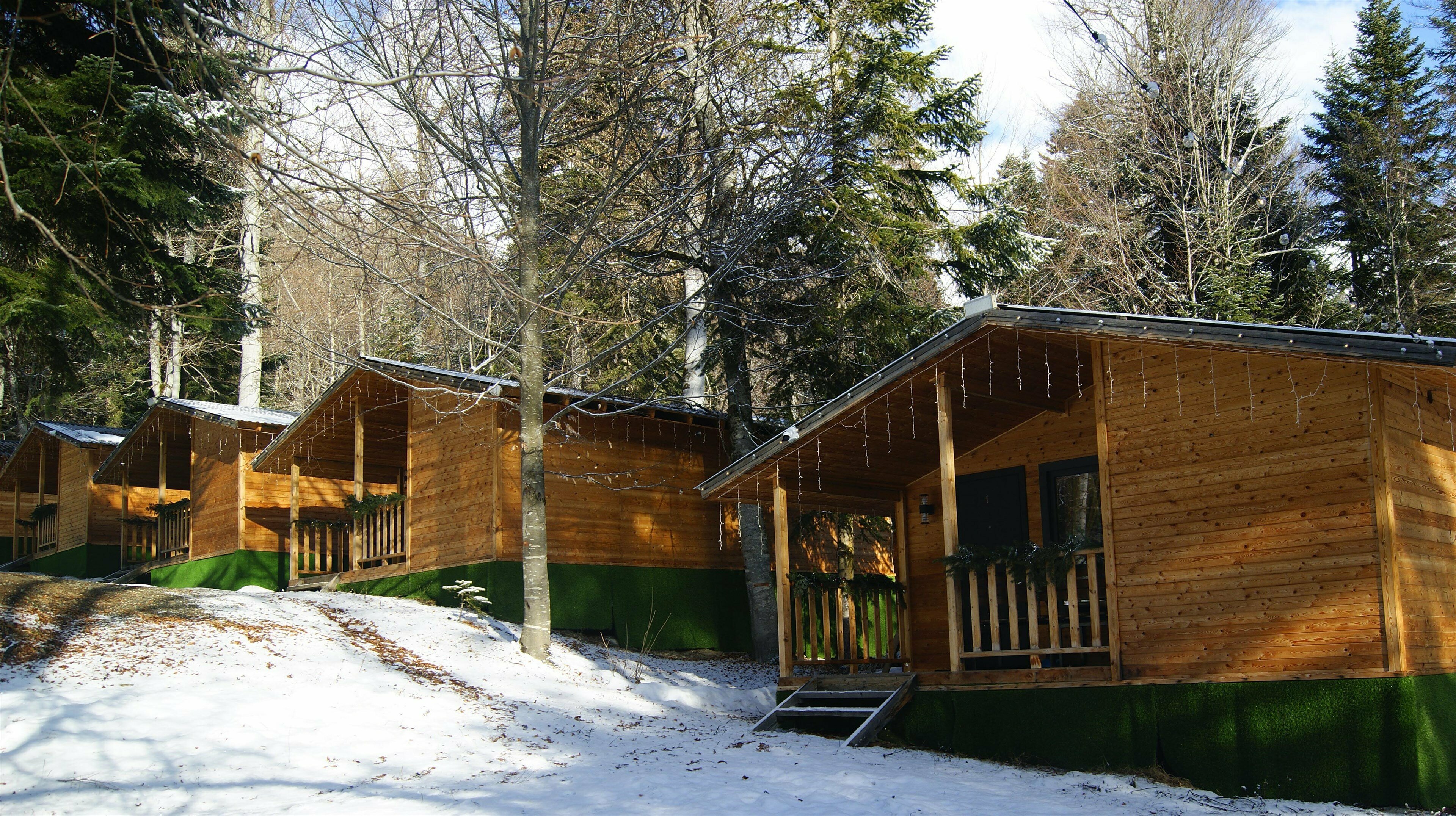 Семейный коттедж до 6 ти человек