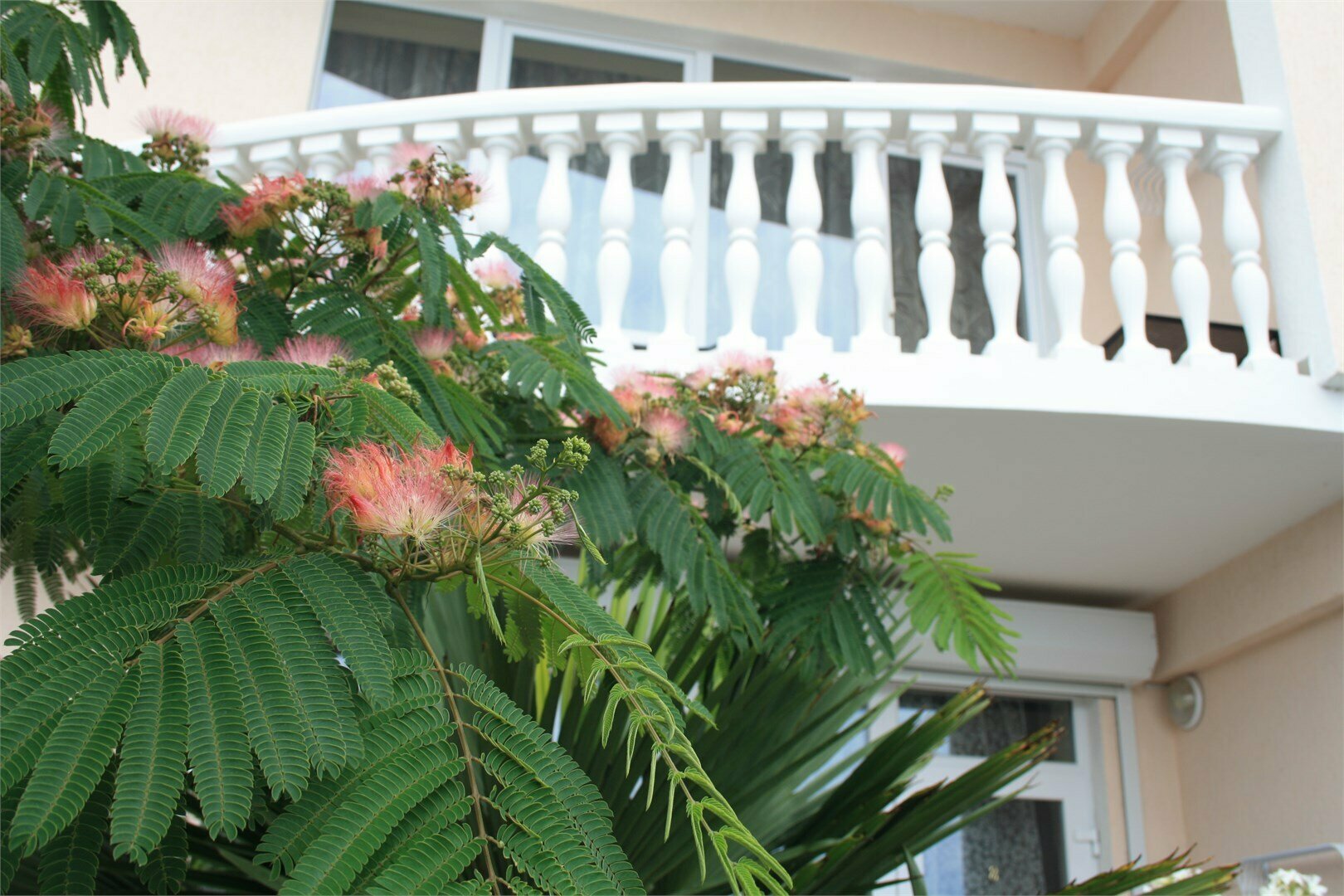 Номер студио с видом на море