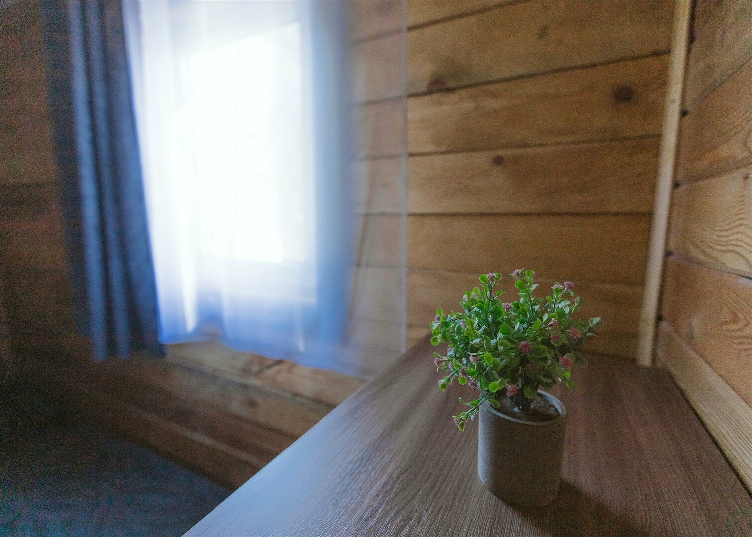 Апартаменты  Катунь