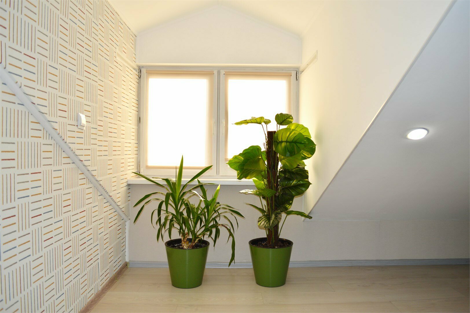 Апартаменты