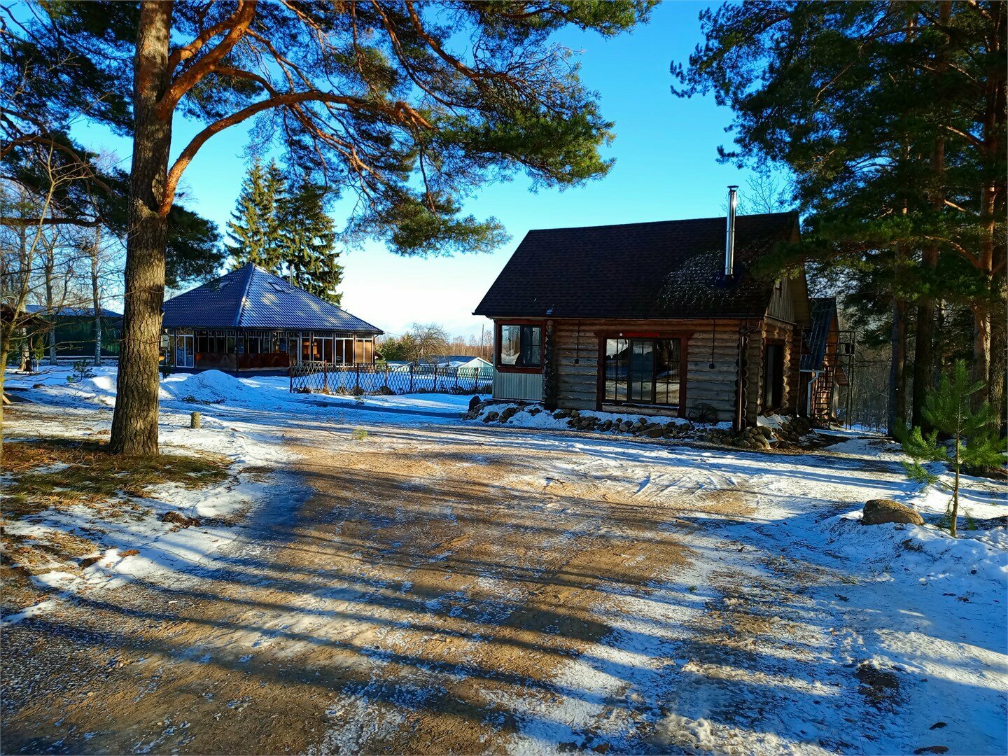 Дом с видом на лес