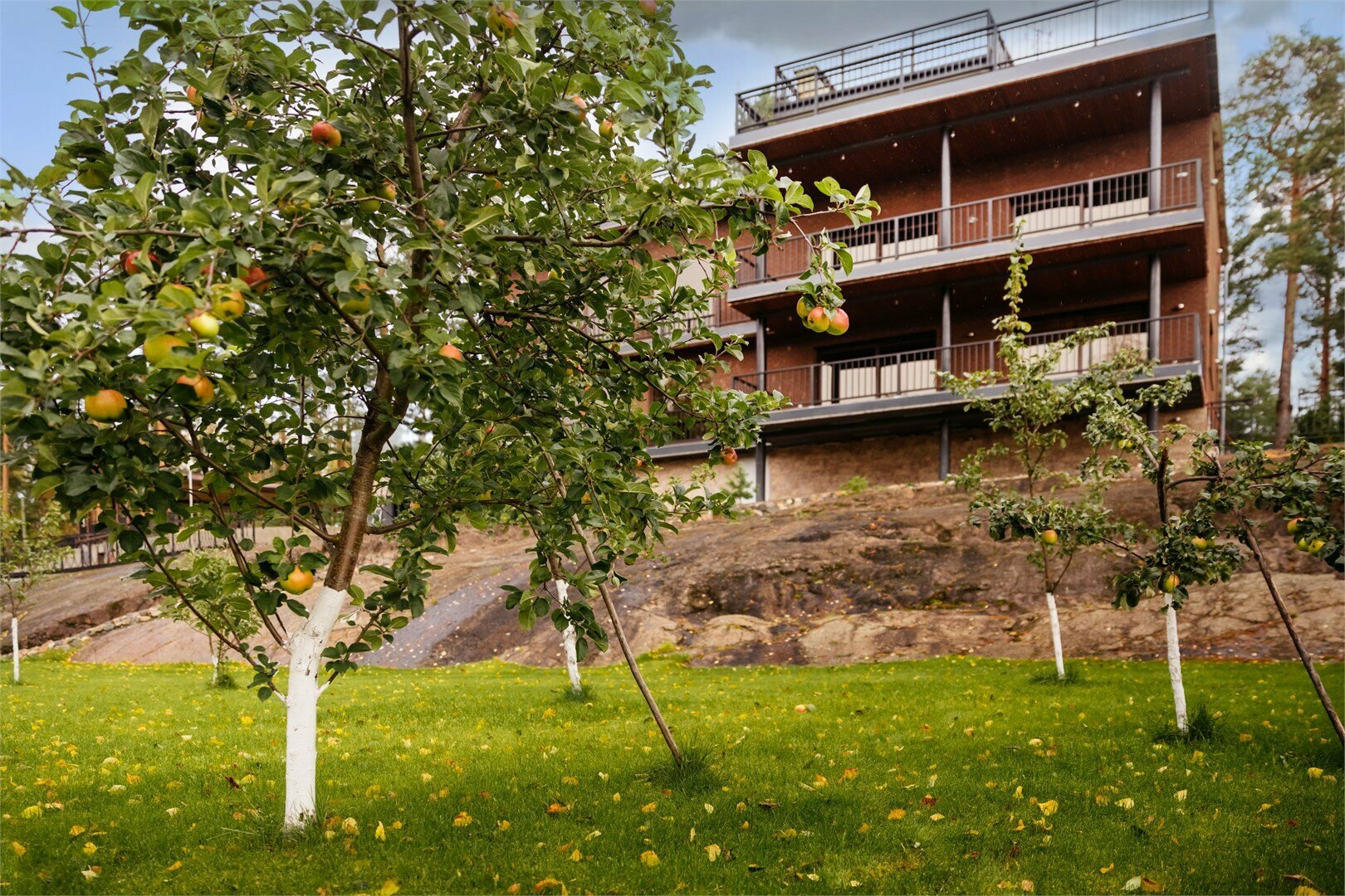 Резиденция Северный сад