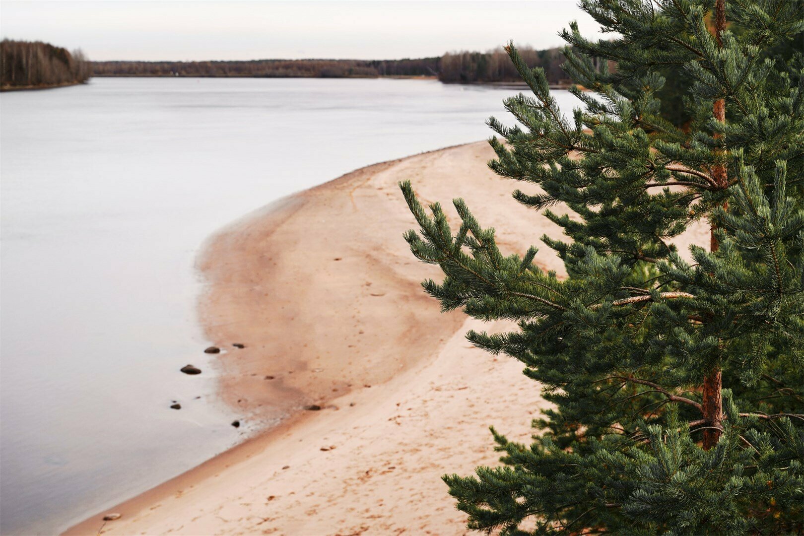 Номер «‎Стандарт»