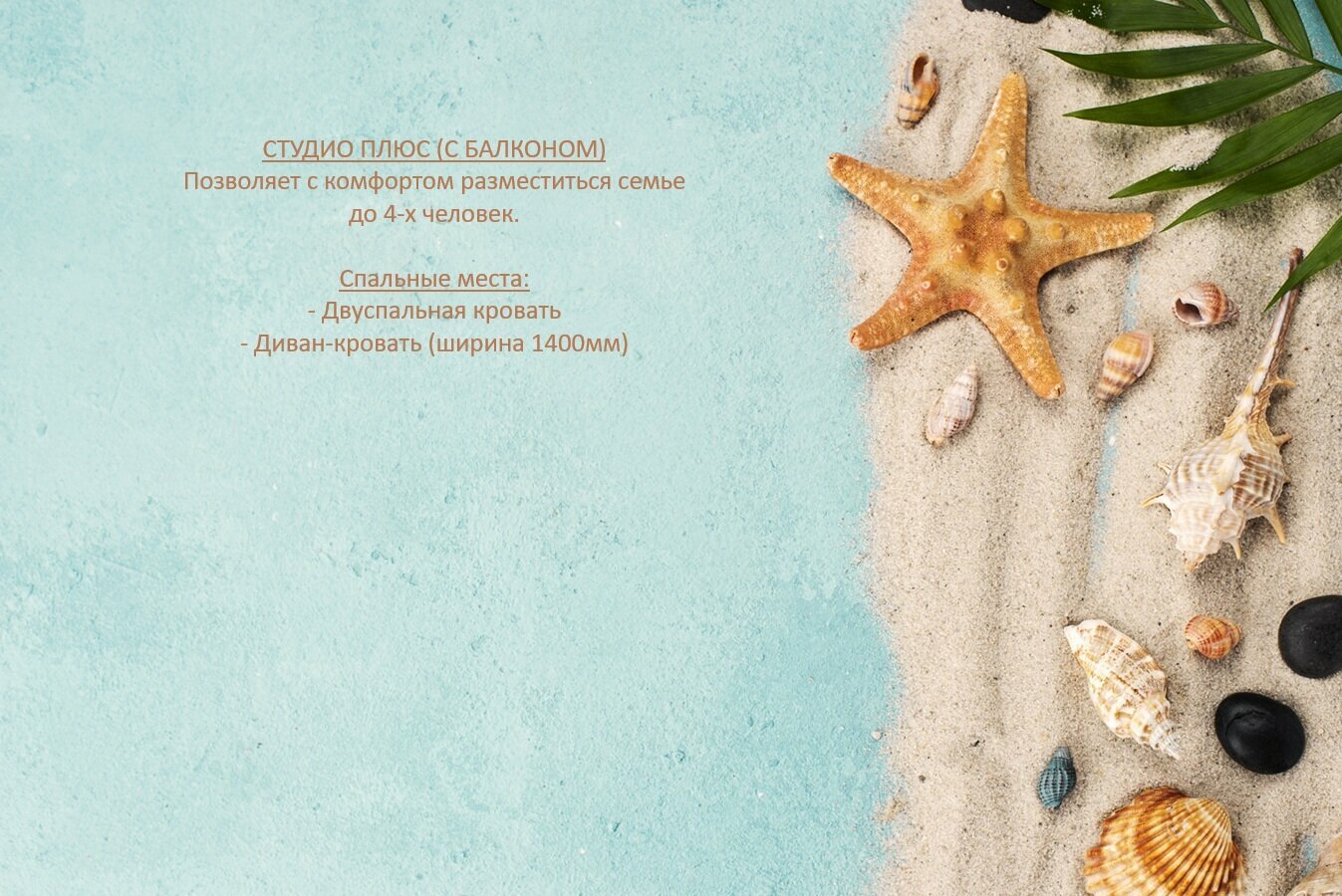 Cтудио Плюс семейный (с балконом)