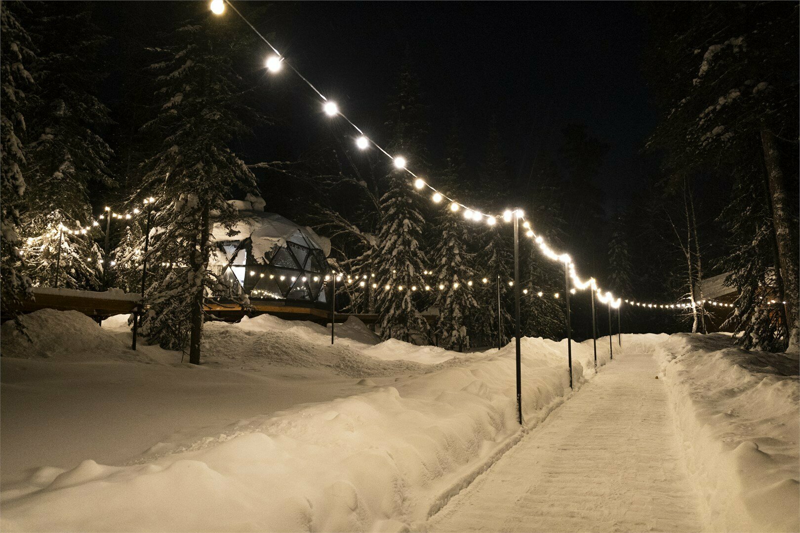 Купольный дом