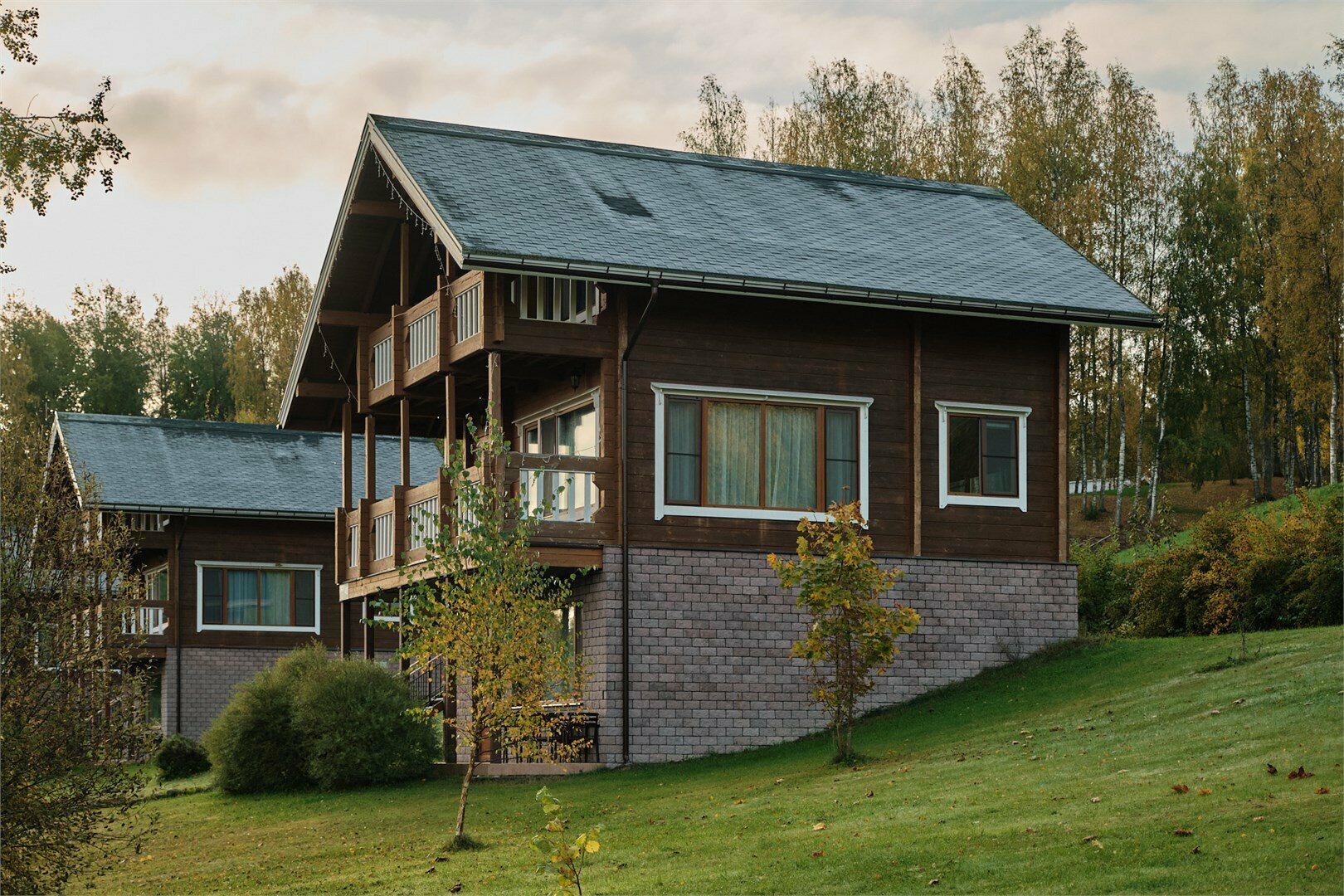 Ореховая линия