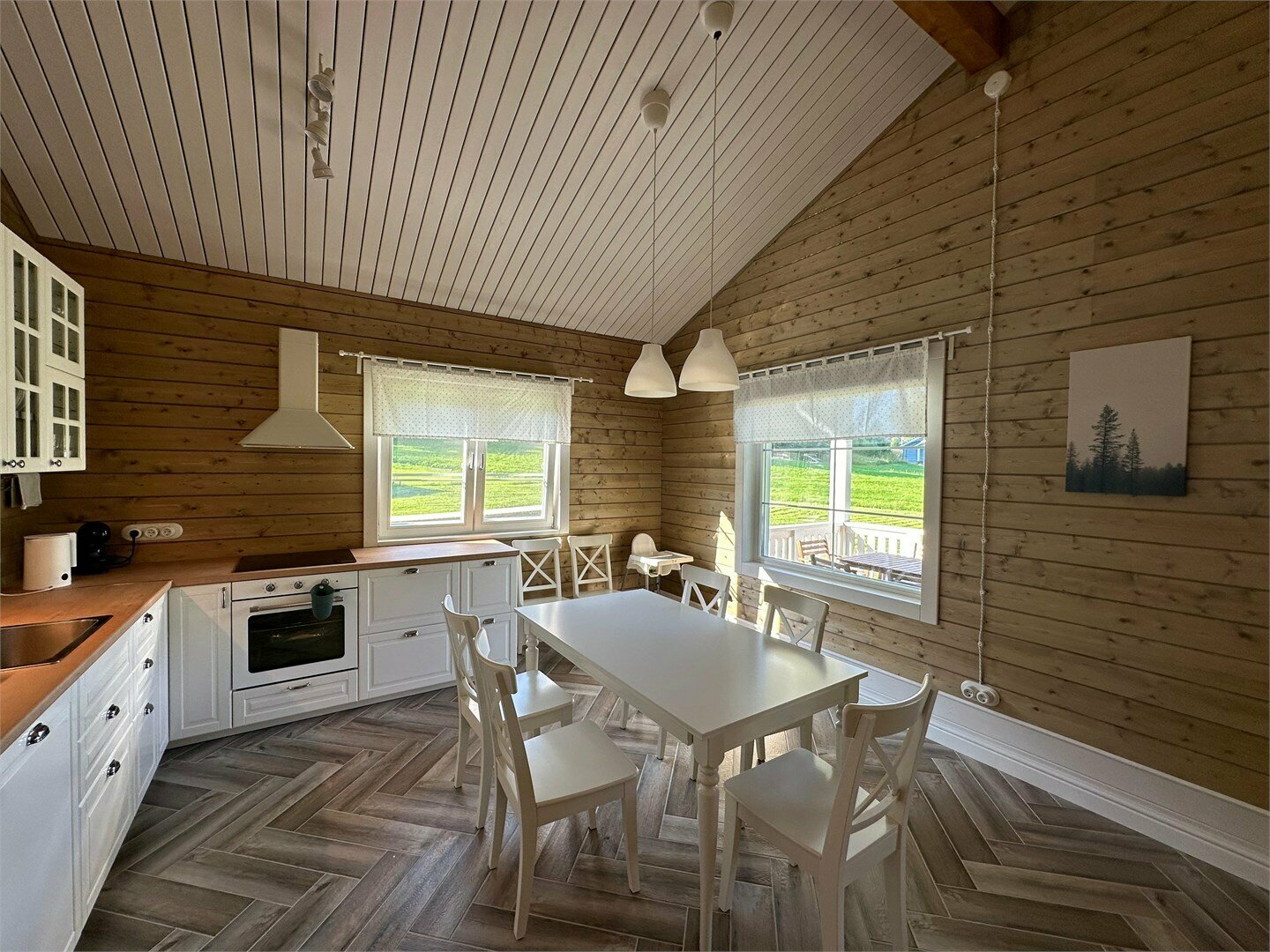 Большой скандинавский дом