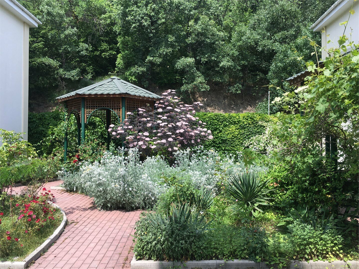 Комфорт № 33,34