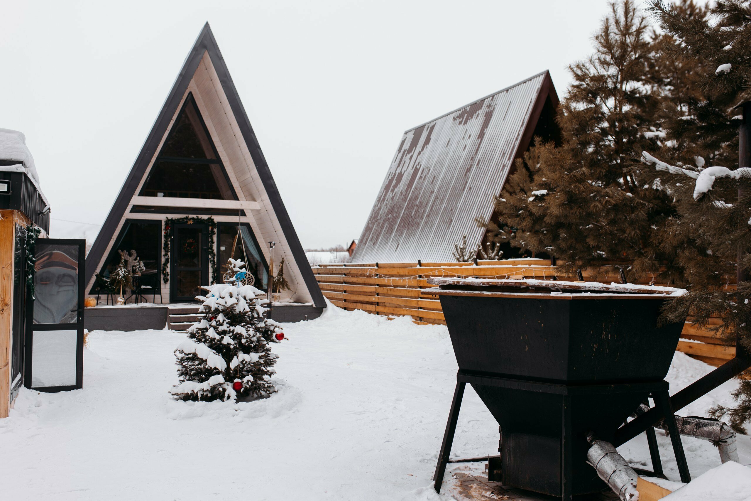 Дом с видом на лес