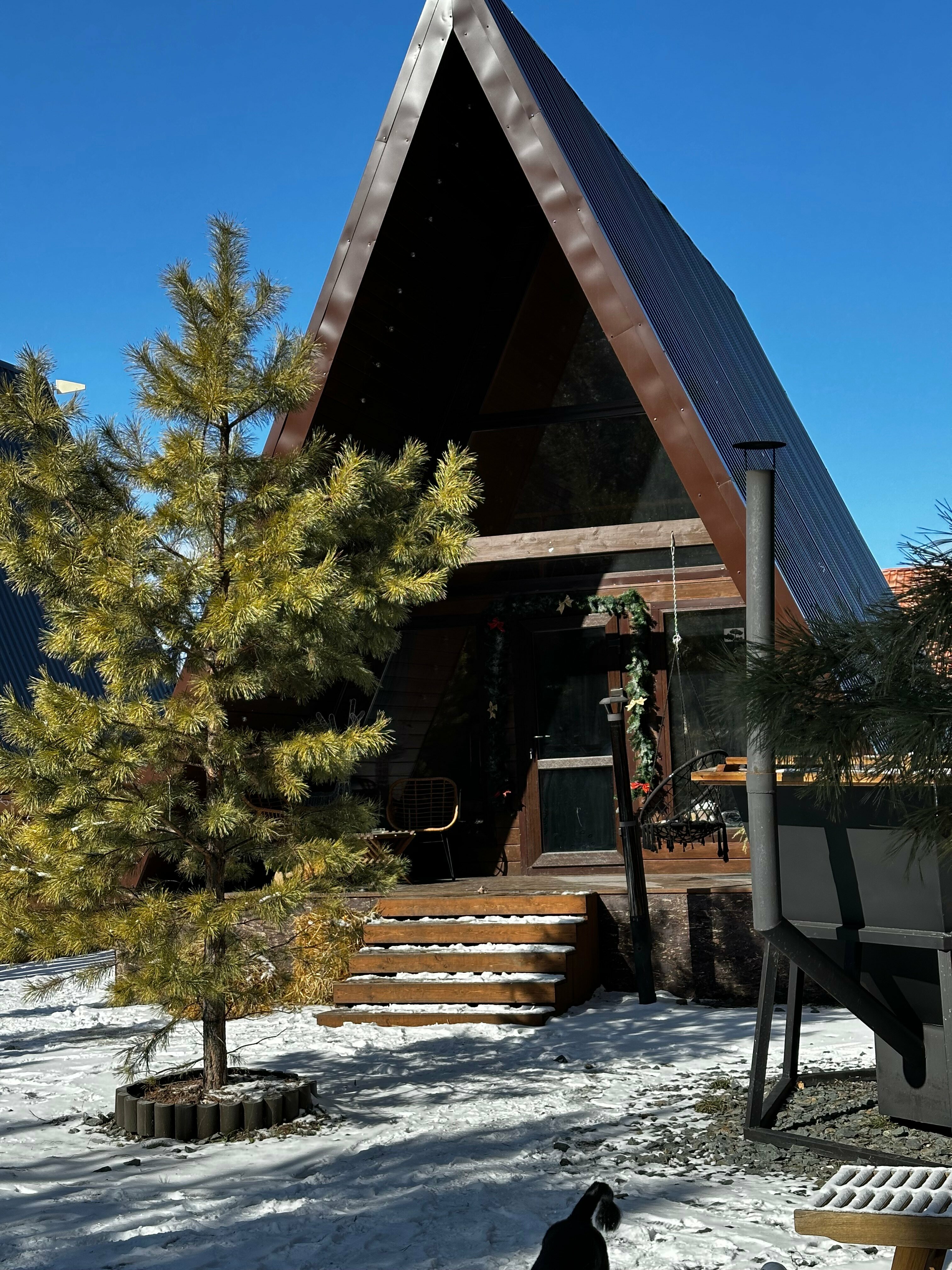 Дом с видом на лес