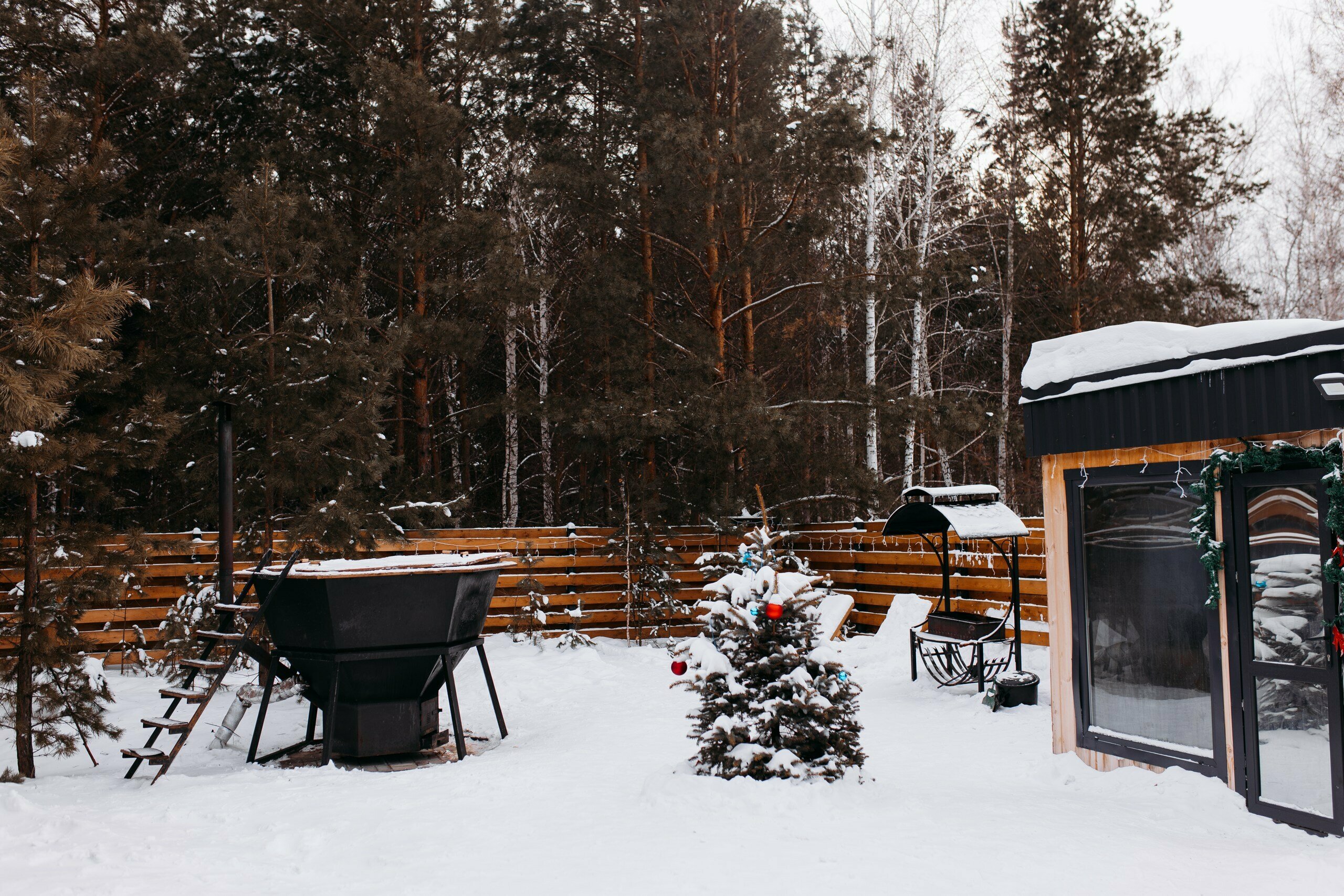 Дом с видом на лес