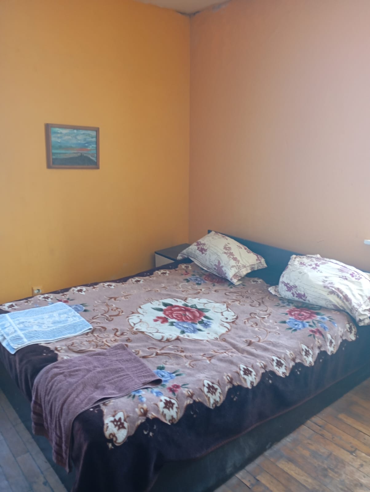 Двухместный номер с 1 кроватью и видом на парк