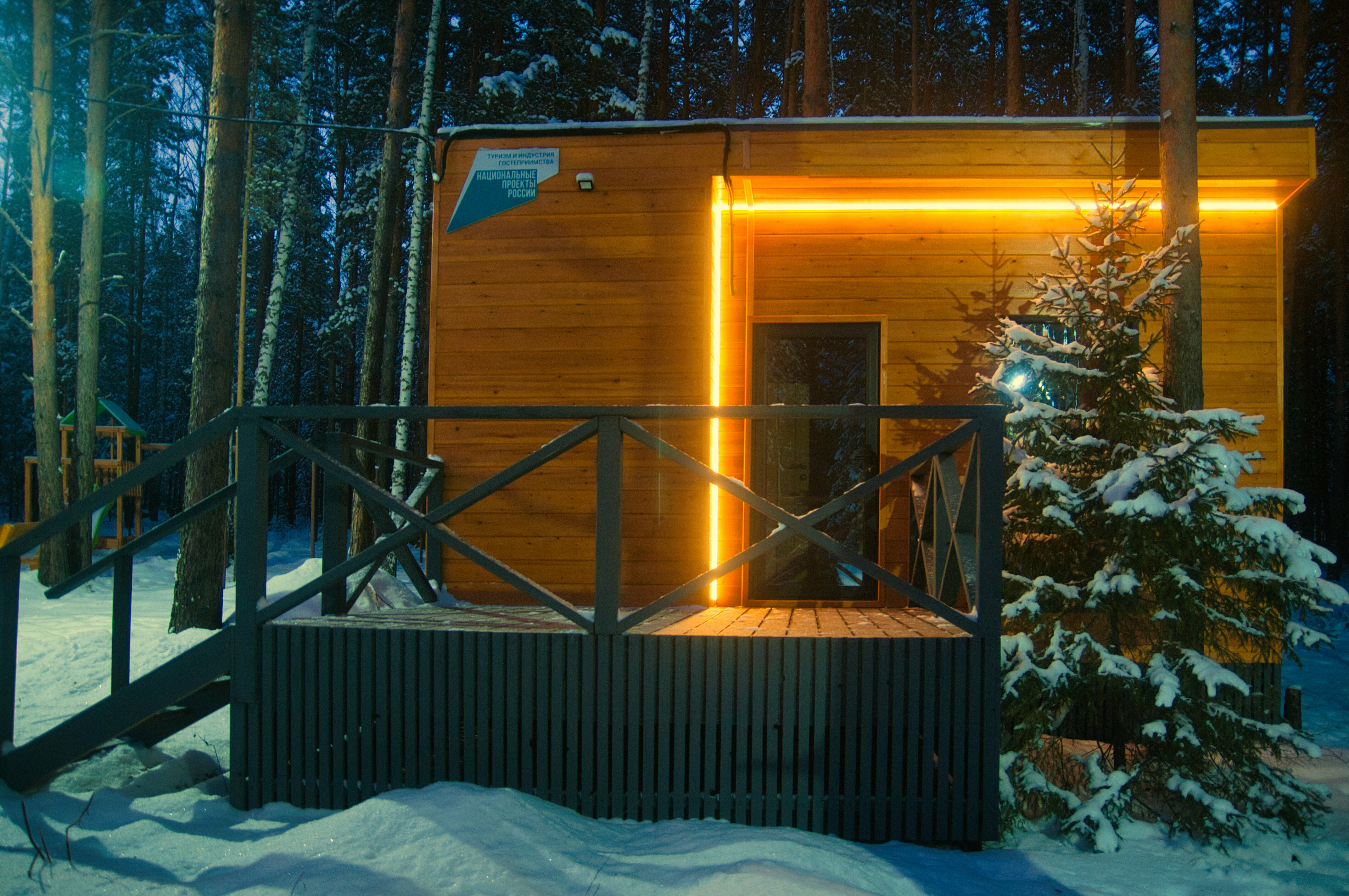 Дом с видом на лес