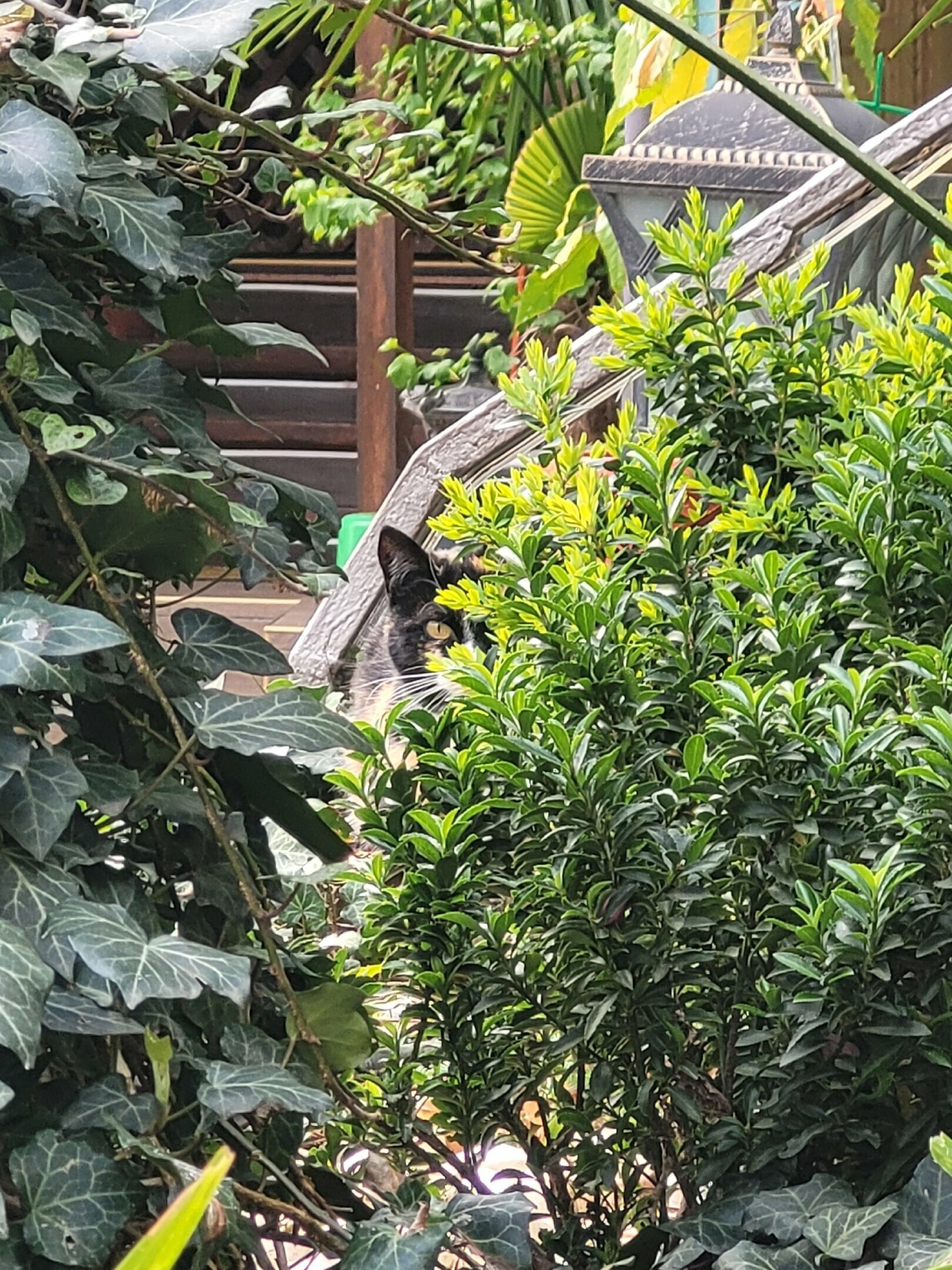 Двухместный номер Делюкс с 1 кроватью и балконом, вид на море