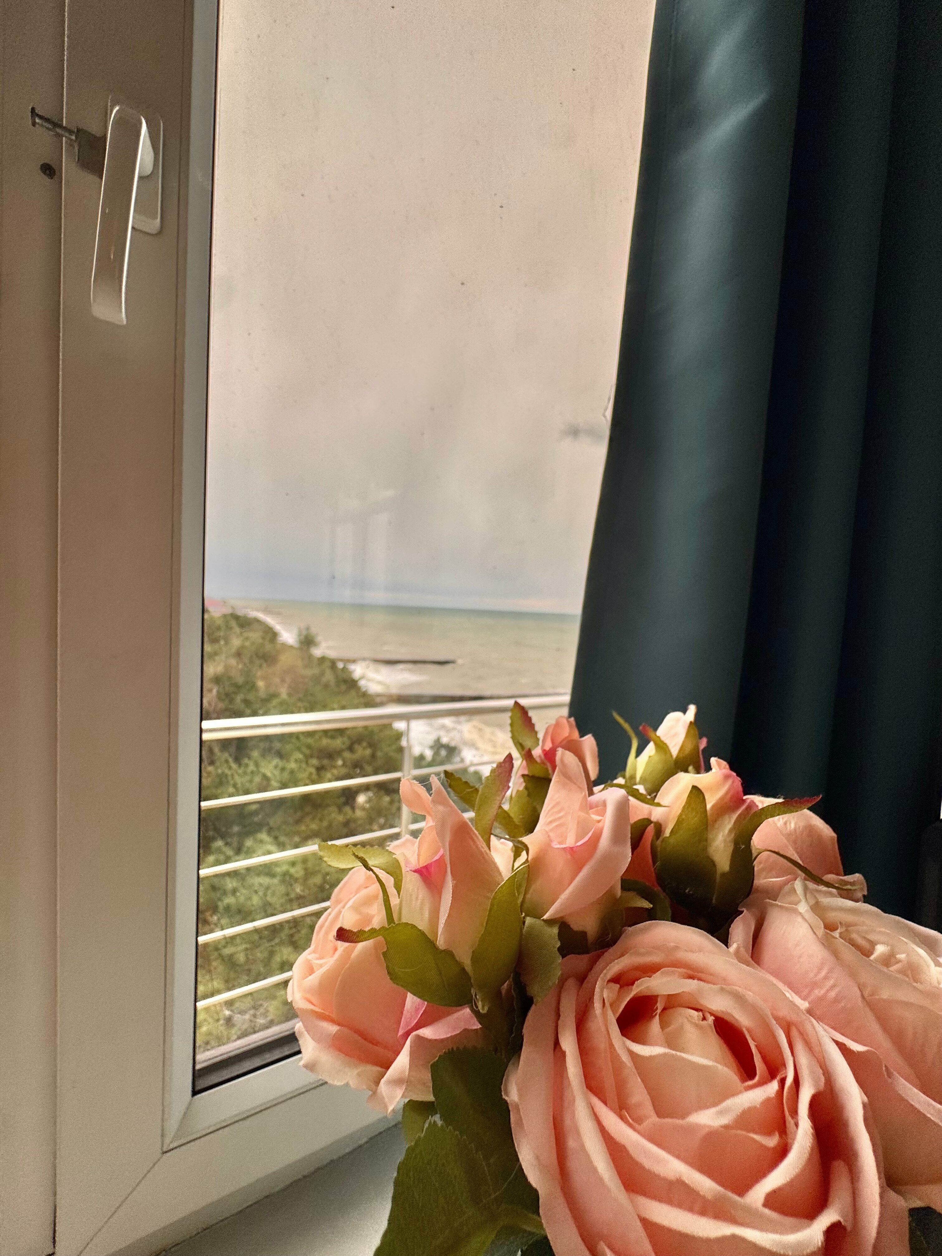 Люкс с видом на море