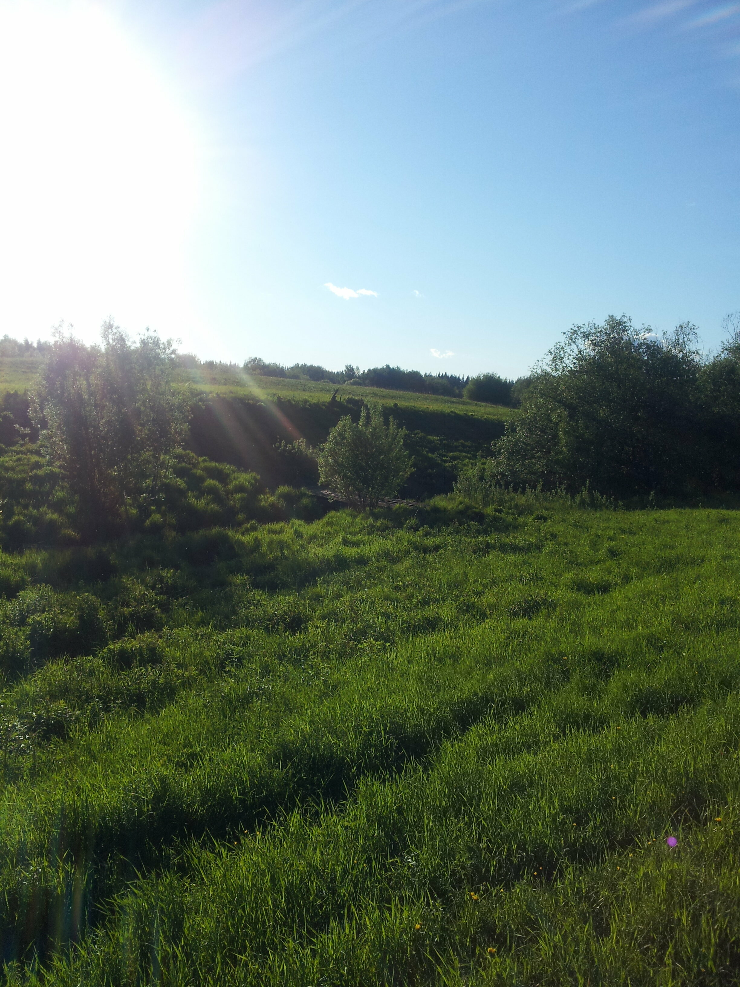 Четырехместный номер