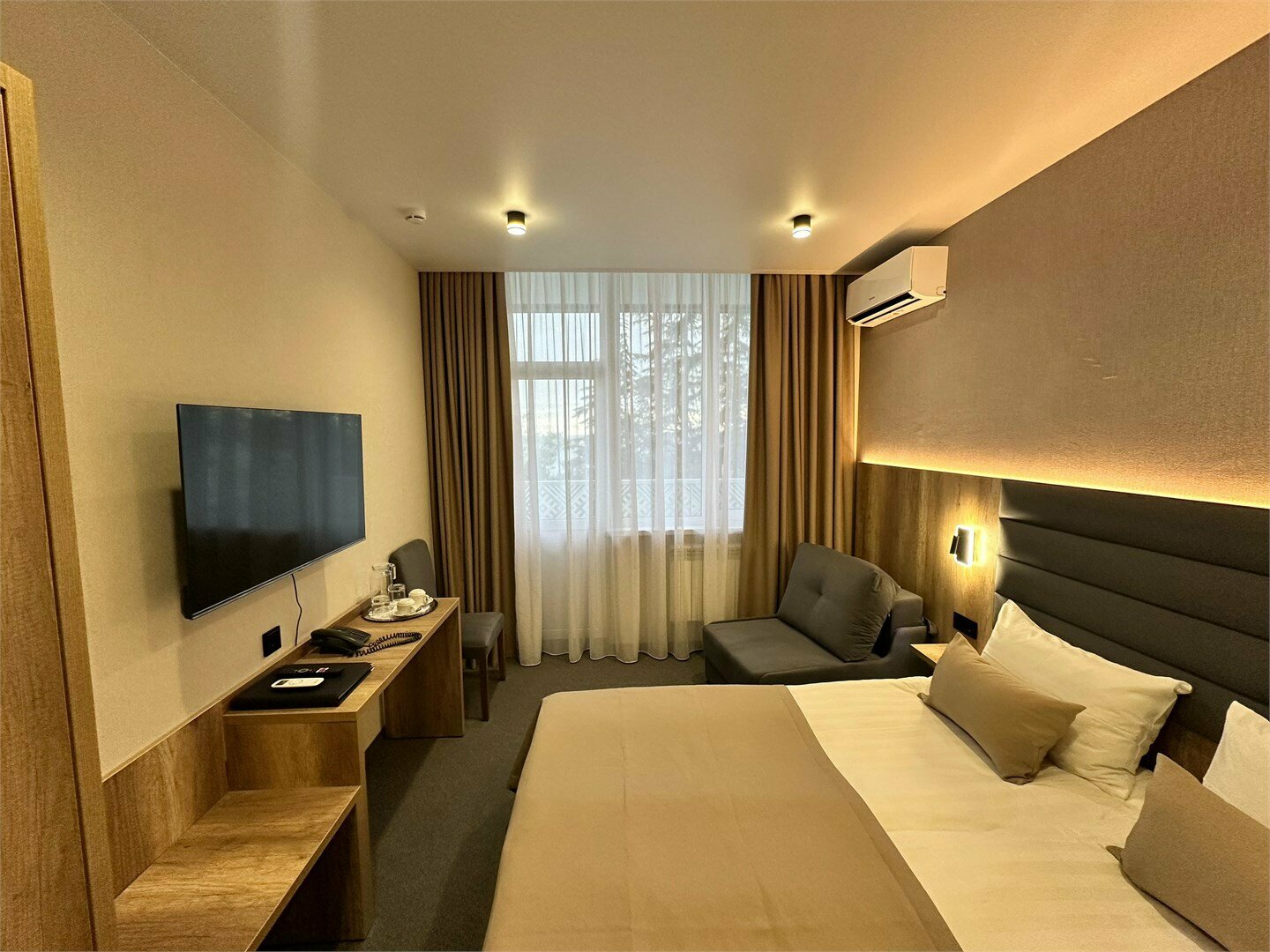 Стандарт Улучшенный с видом на парк